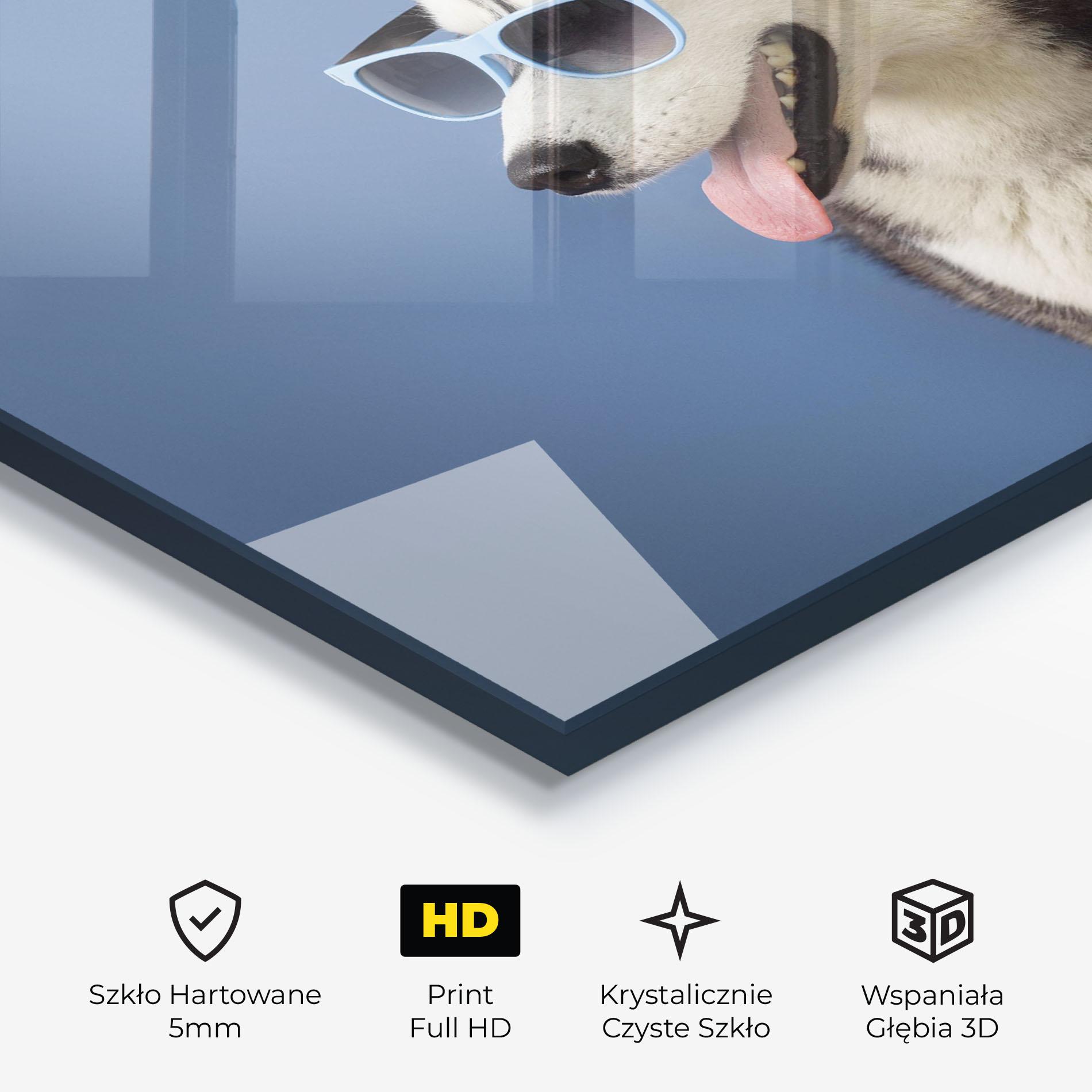 Obraz na Szkle Blue Glasses Dog mockup 3
