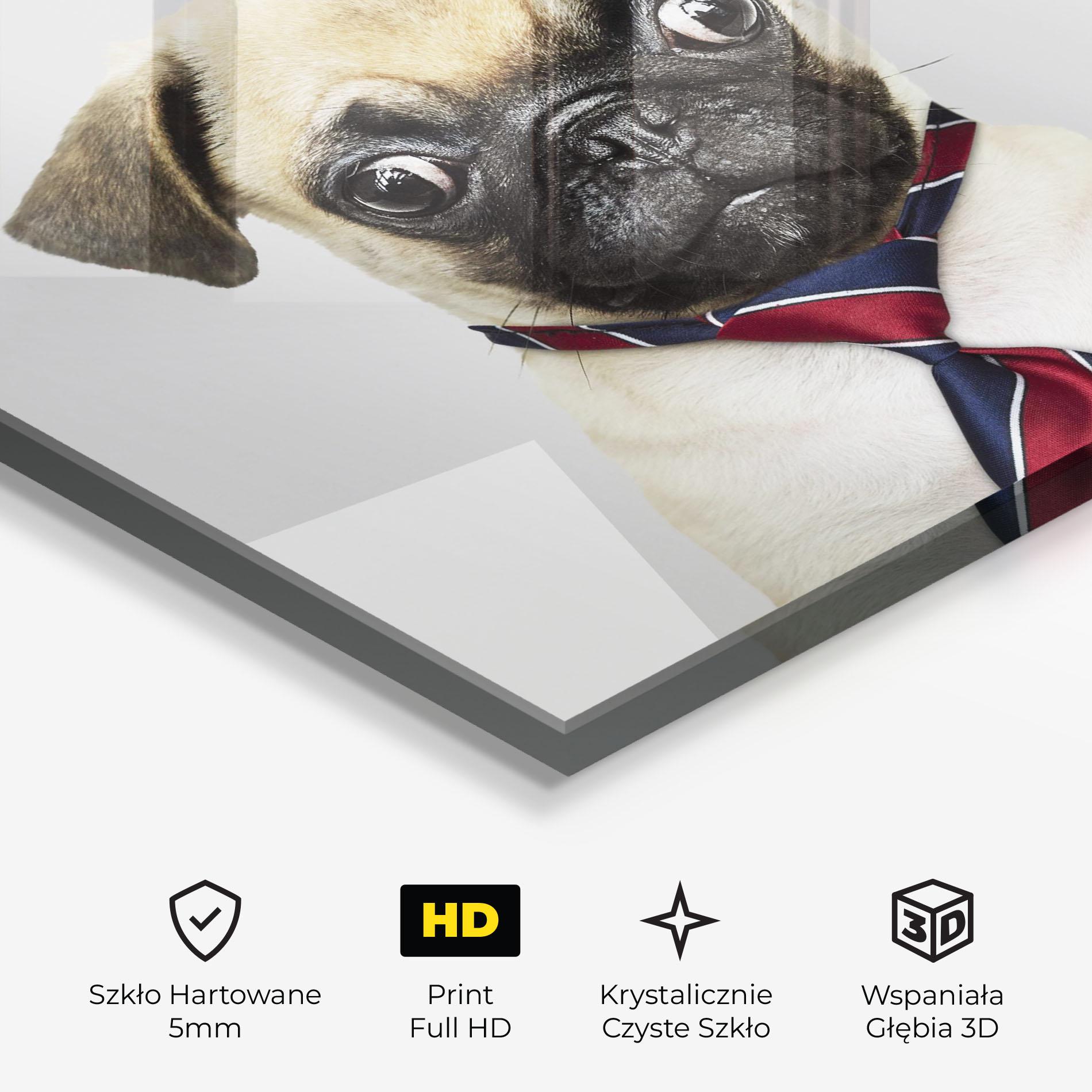 Obraz na Szkle Business Pug mockup 3