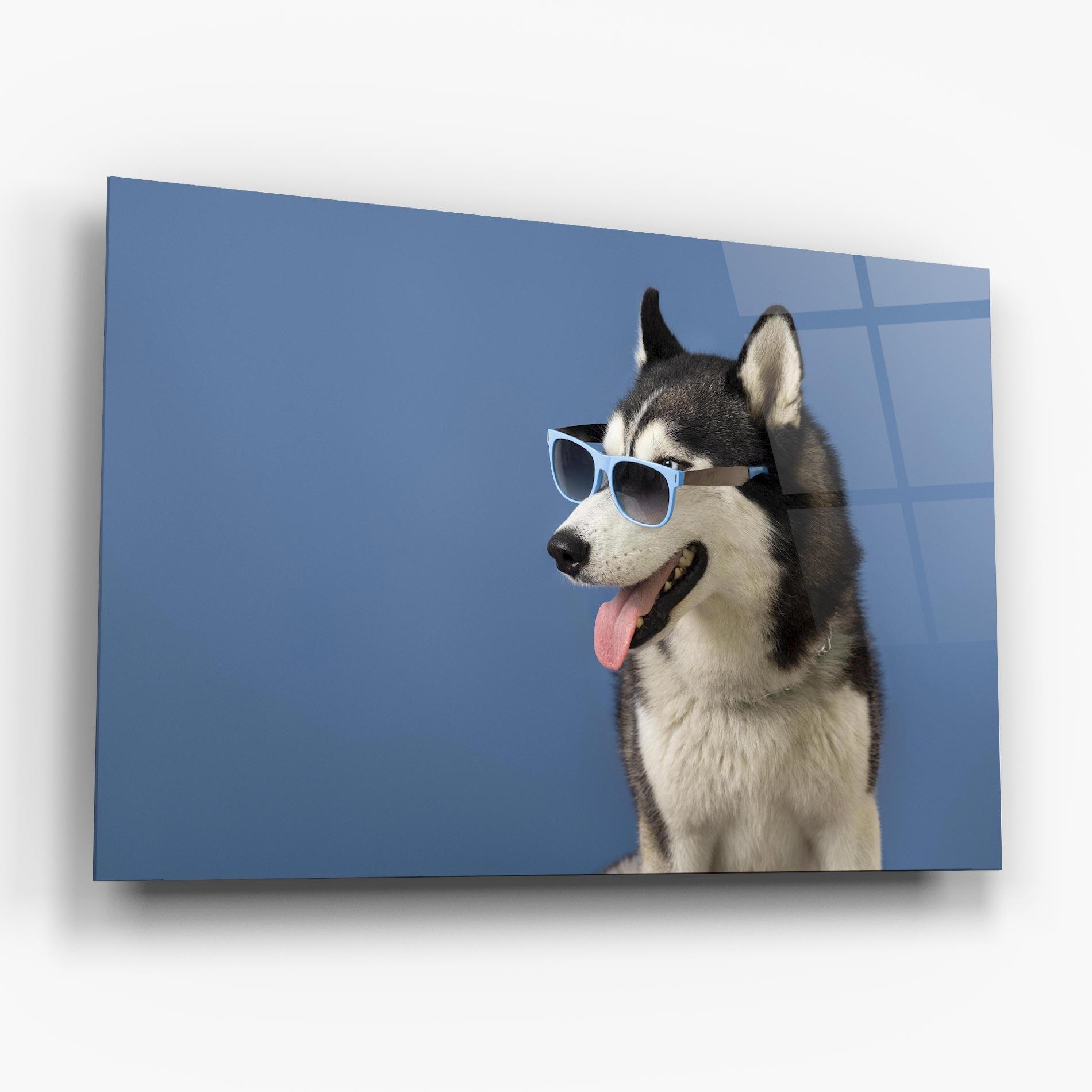 Obraz na Szkle Blue Glasses Dog mockup 6