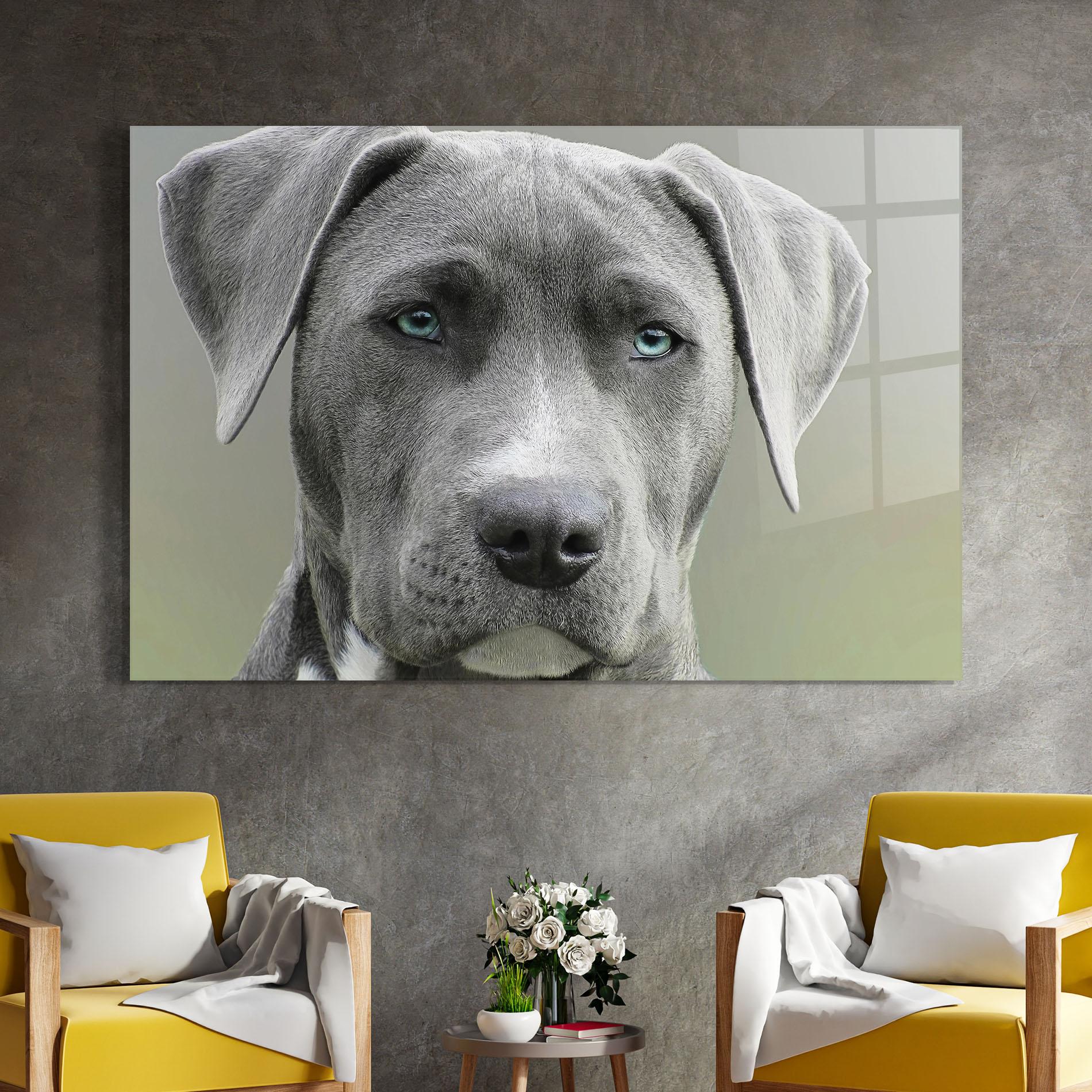 Obraz na Szkle Blue Eyes Dog mockup 4
