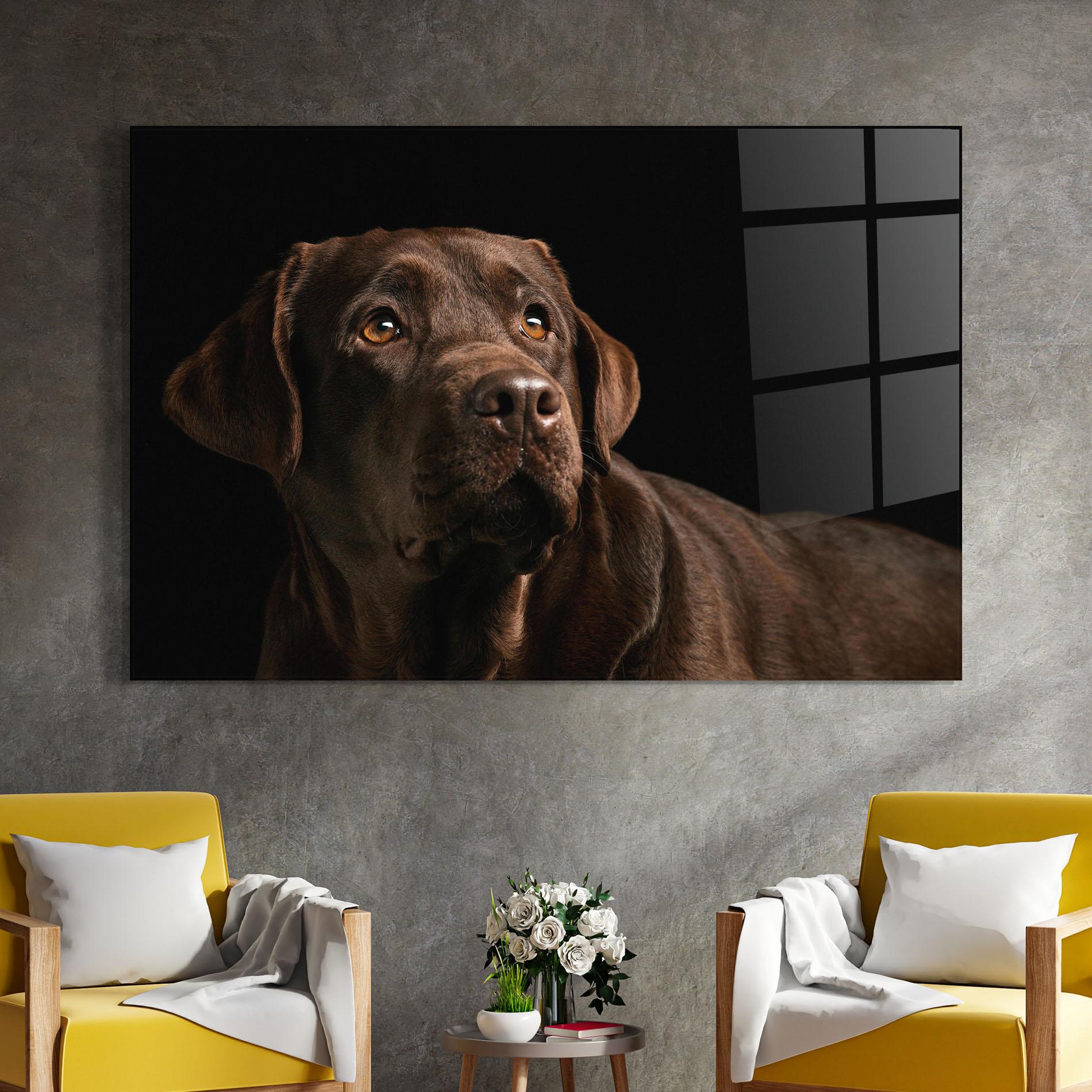 Obraz na Szkle Brown Labrador mockup 4