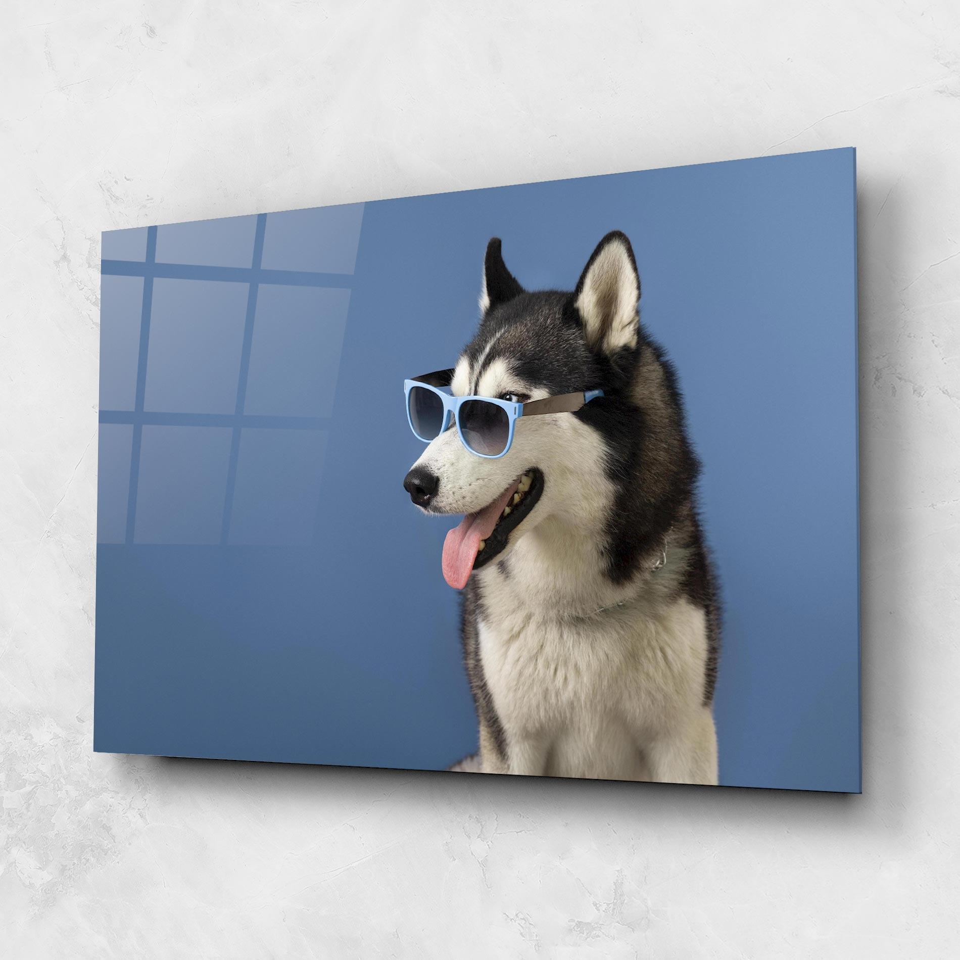 Obraz na Szkle Blue Glasses Dog mockup 1