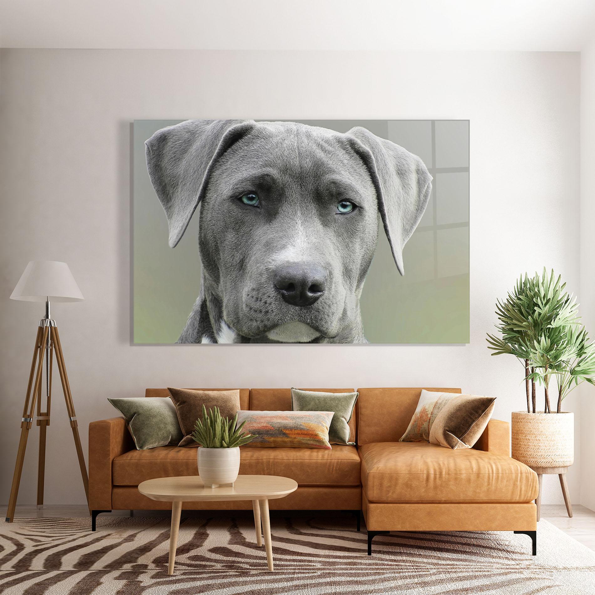 Obraz na Szkle Blue Eyes Dog mockup 7