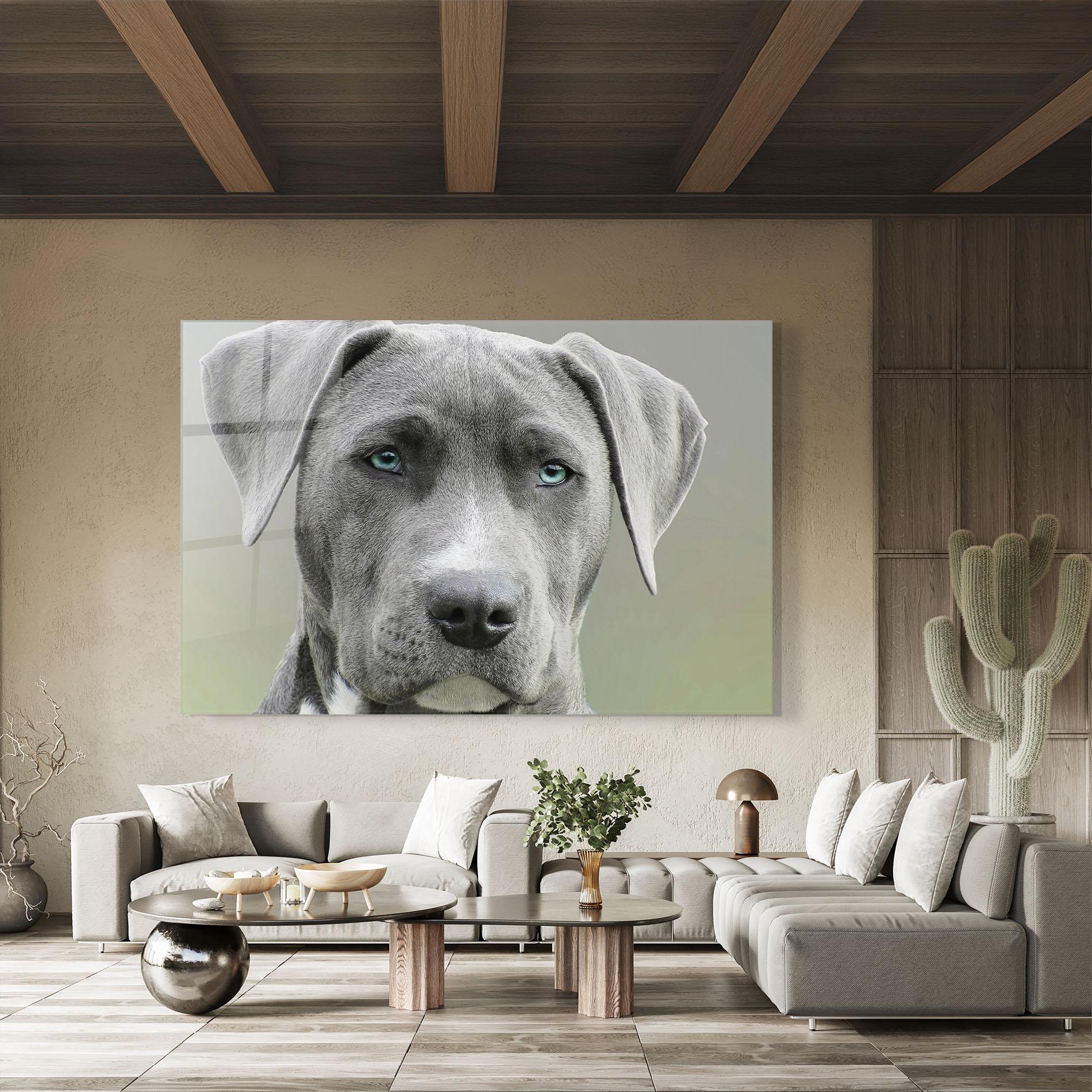 Obraz na Szkle Blue Eyes Dog mockup 8