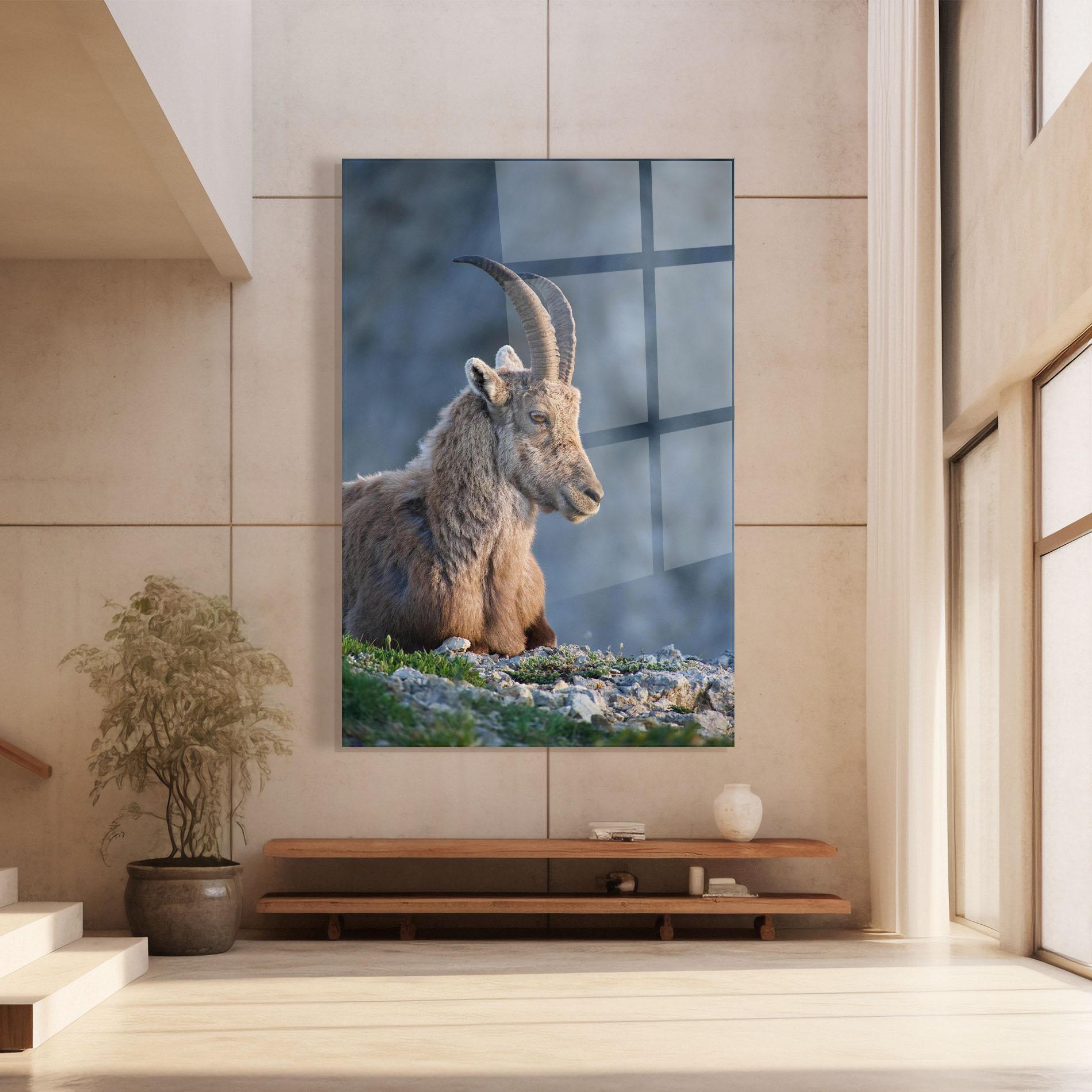 Obraz na Szkle Mountain Goat mockup 8