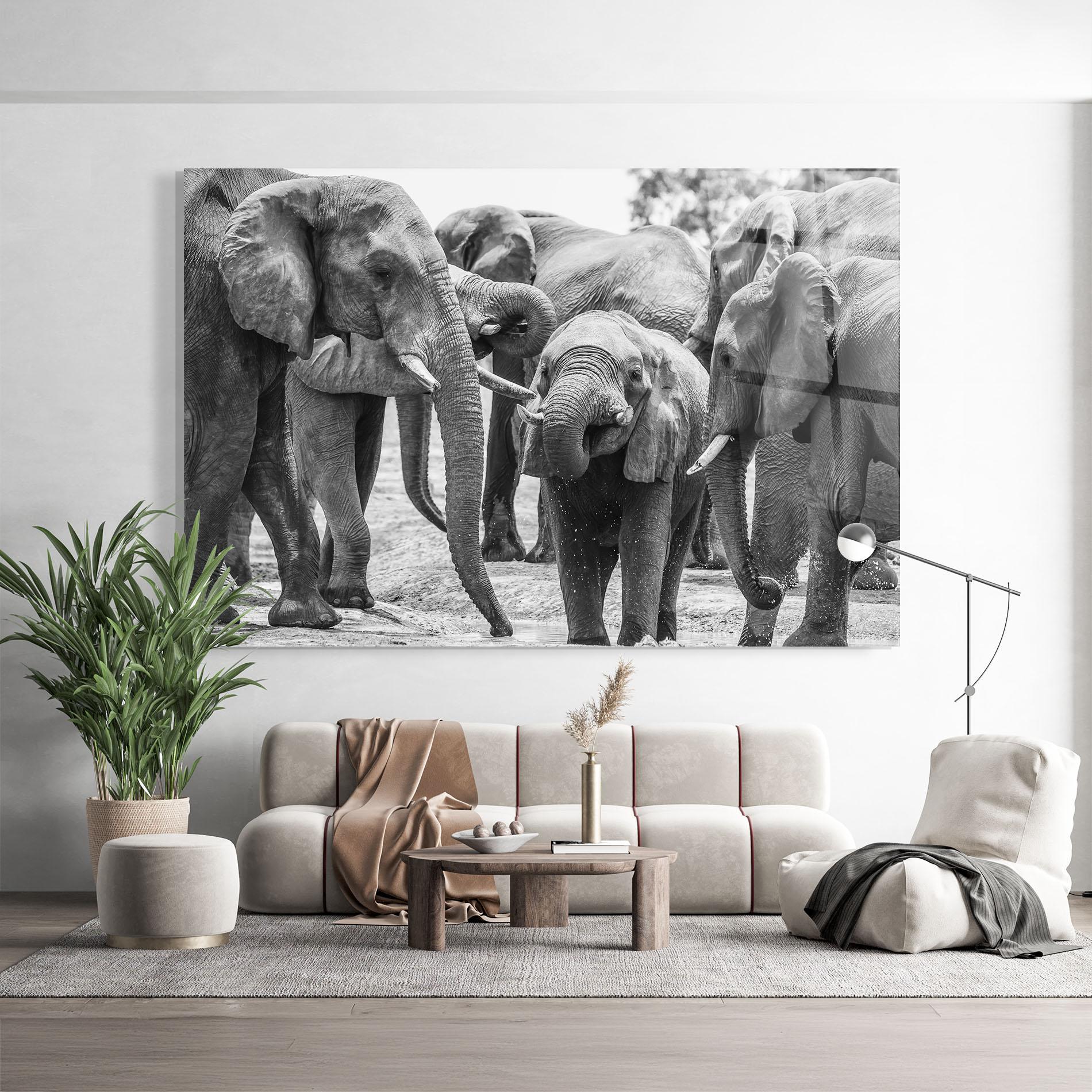 Obraz na Szkle Elephant Playing mockup 9