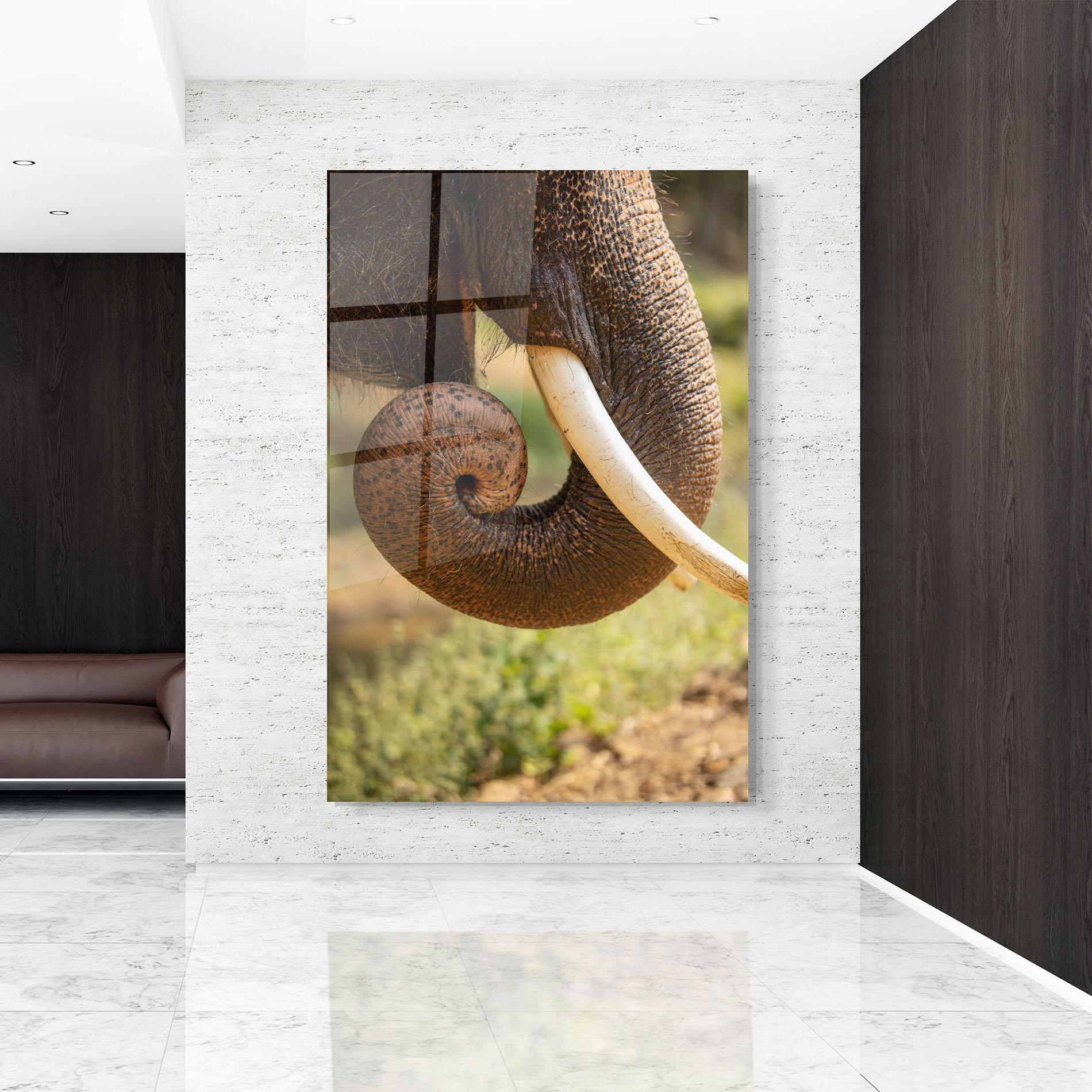 Obraz na Szkle Elephant Mouth Close Up mockup 9