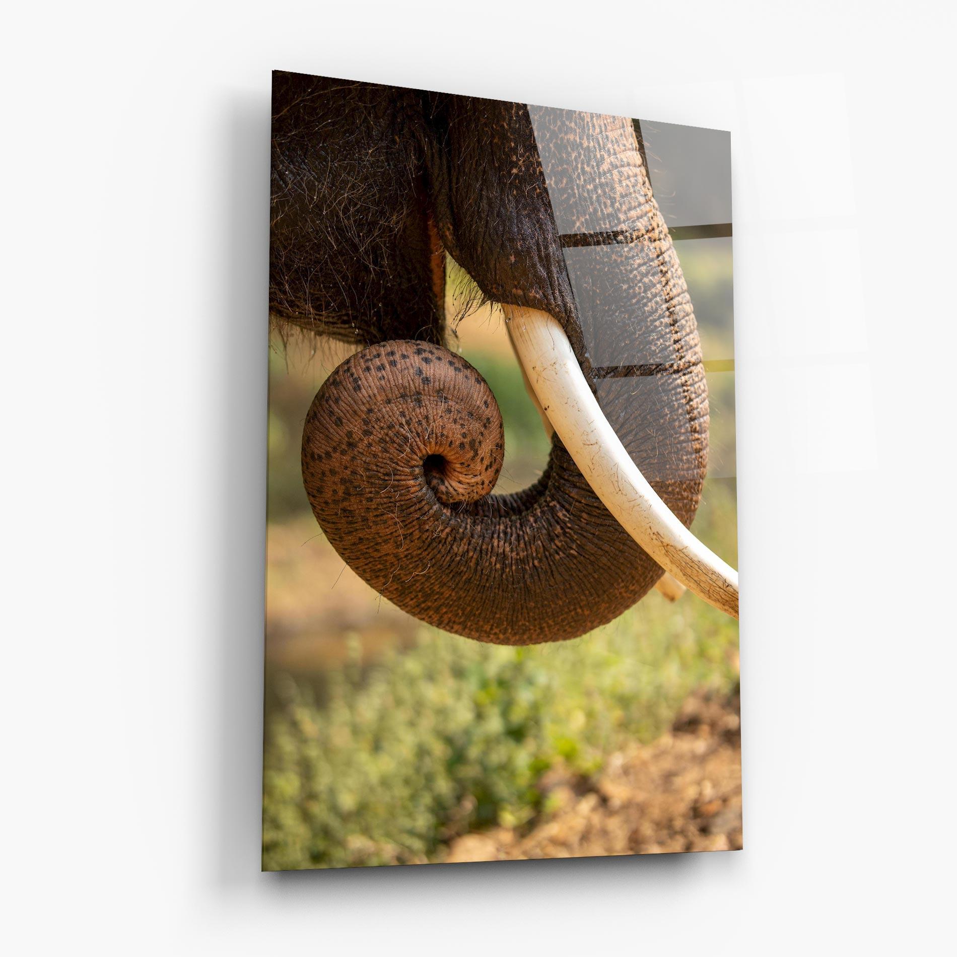 Obraz na Szkle Elephant Mouth Close Up mockup 6