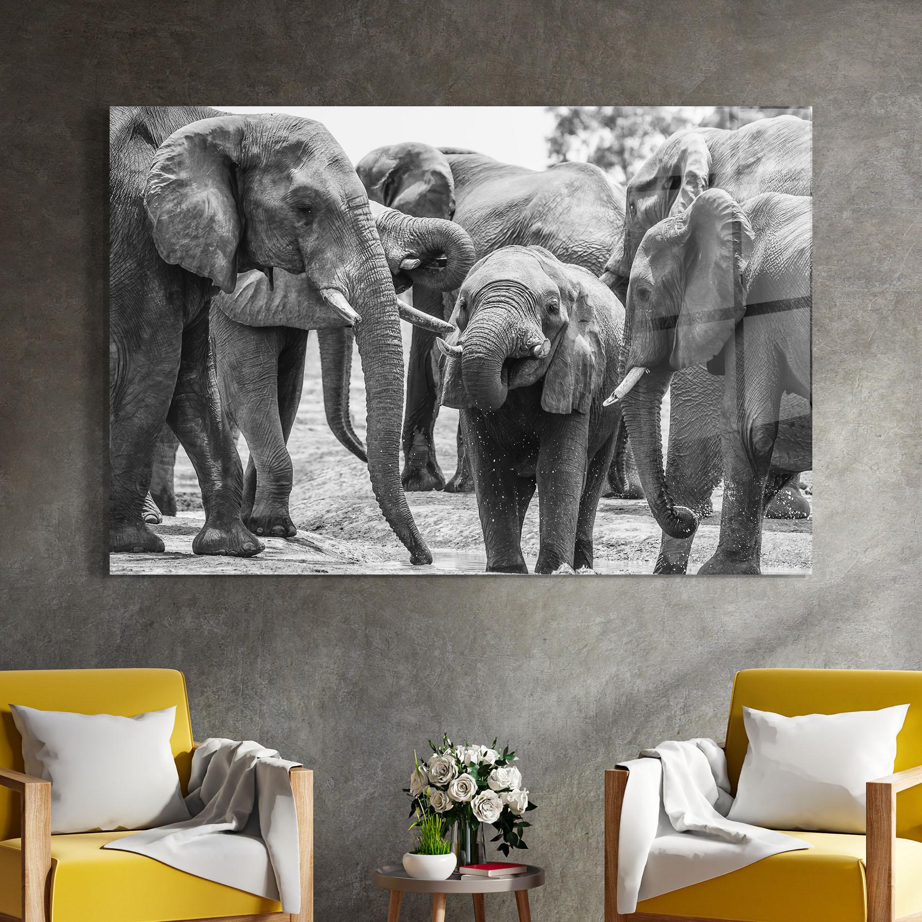 Obraz na Szkle Elephant Playing mockup 4