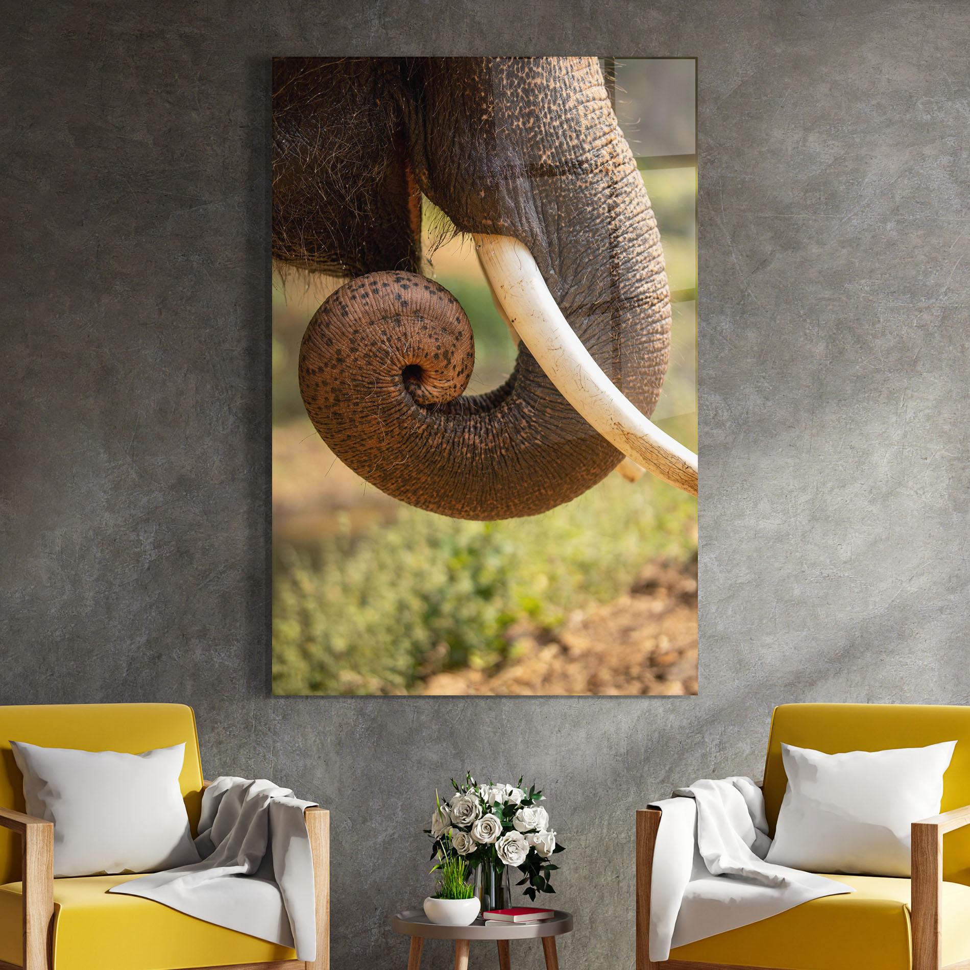 Obraz na Szkle Elephant Mouth Close Up mockup 4