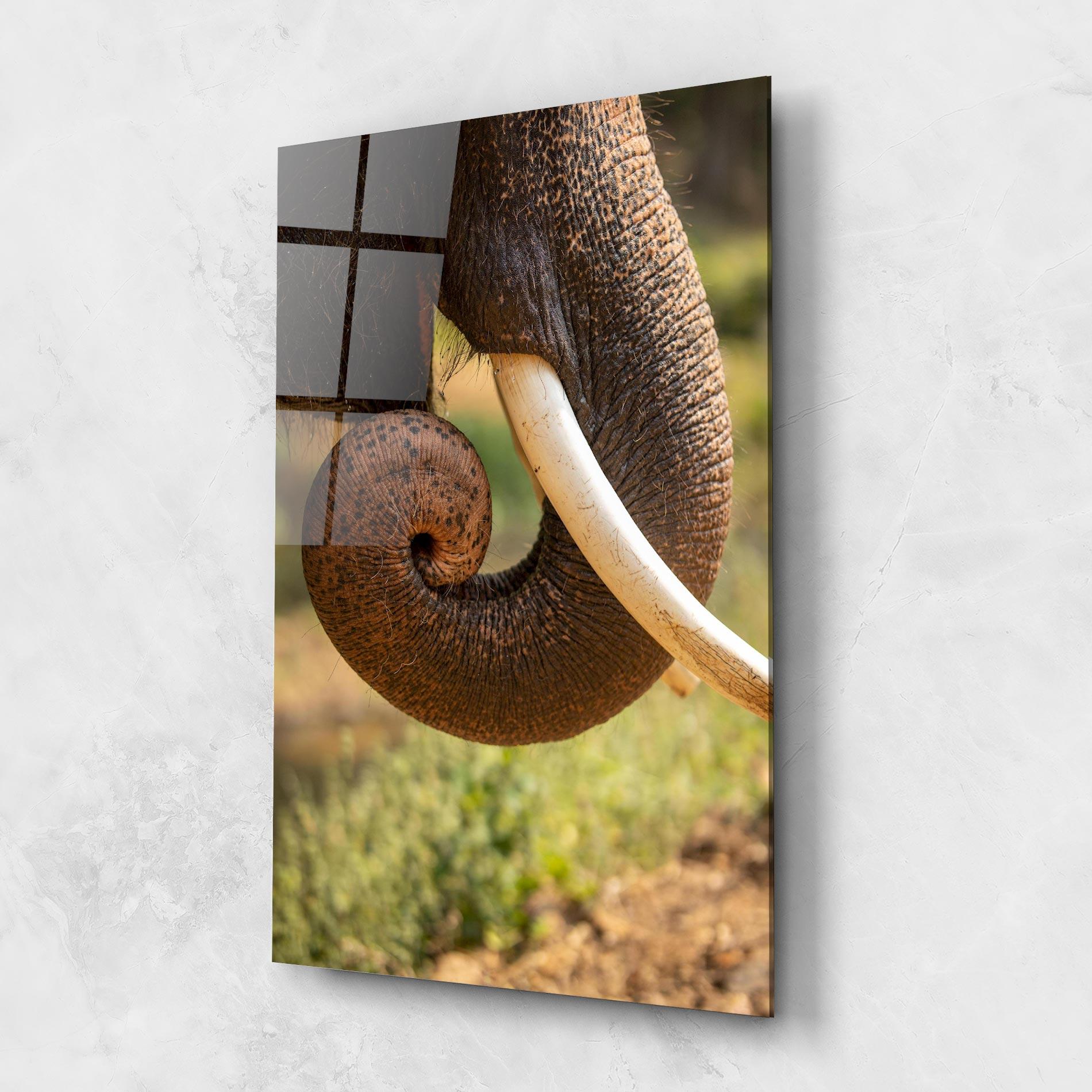 Obraz na Szkle Elephant Mouth Close Up mockup 1