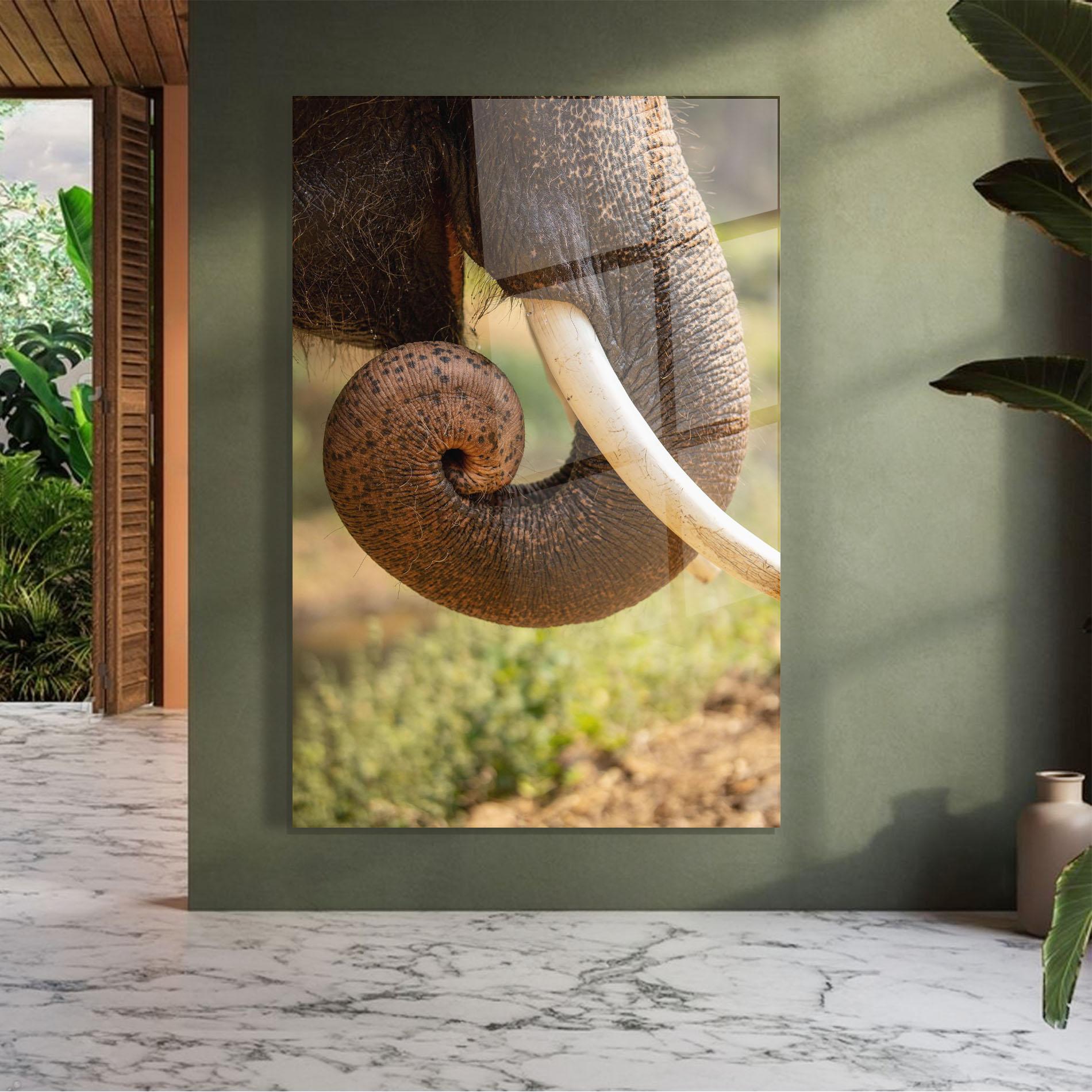 Obraz na Szkle Elephant Mouth Close Up mockup 7