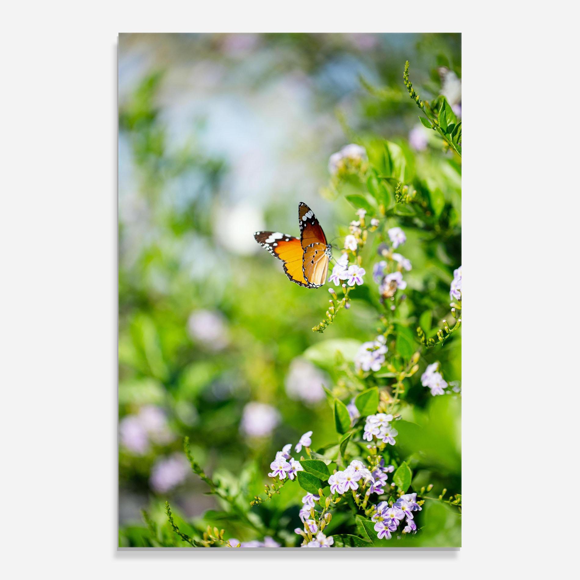 Obraz na Szkle Little Orange Elephant mockup 0