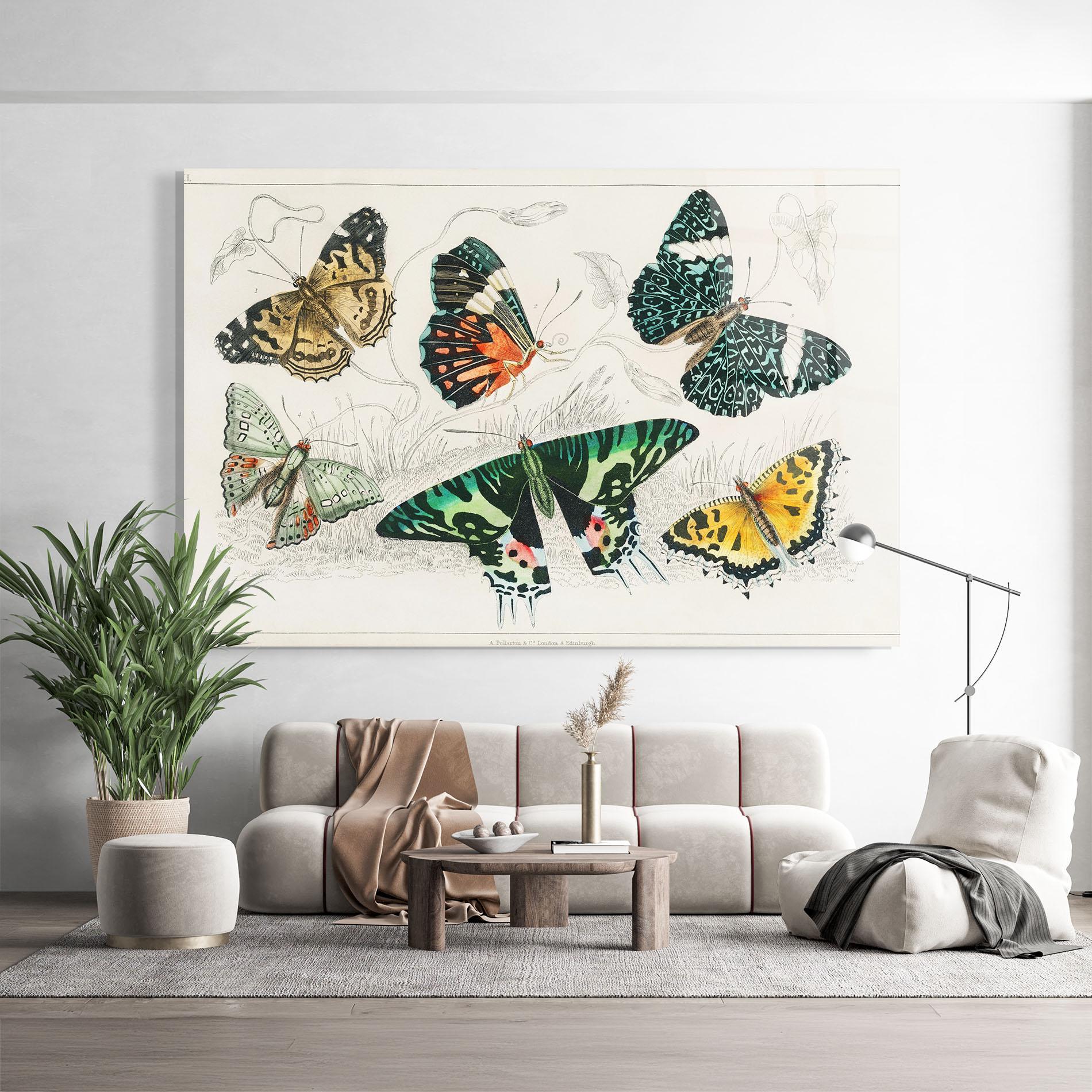 Obraz na Szkle Butterfly Art mockup 9