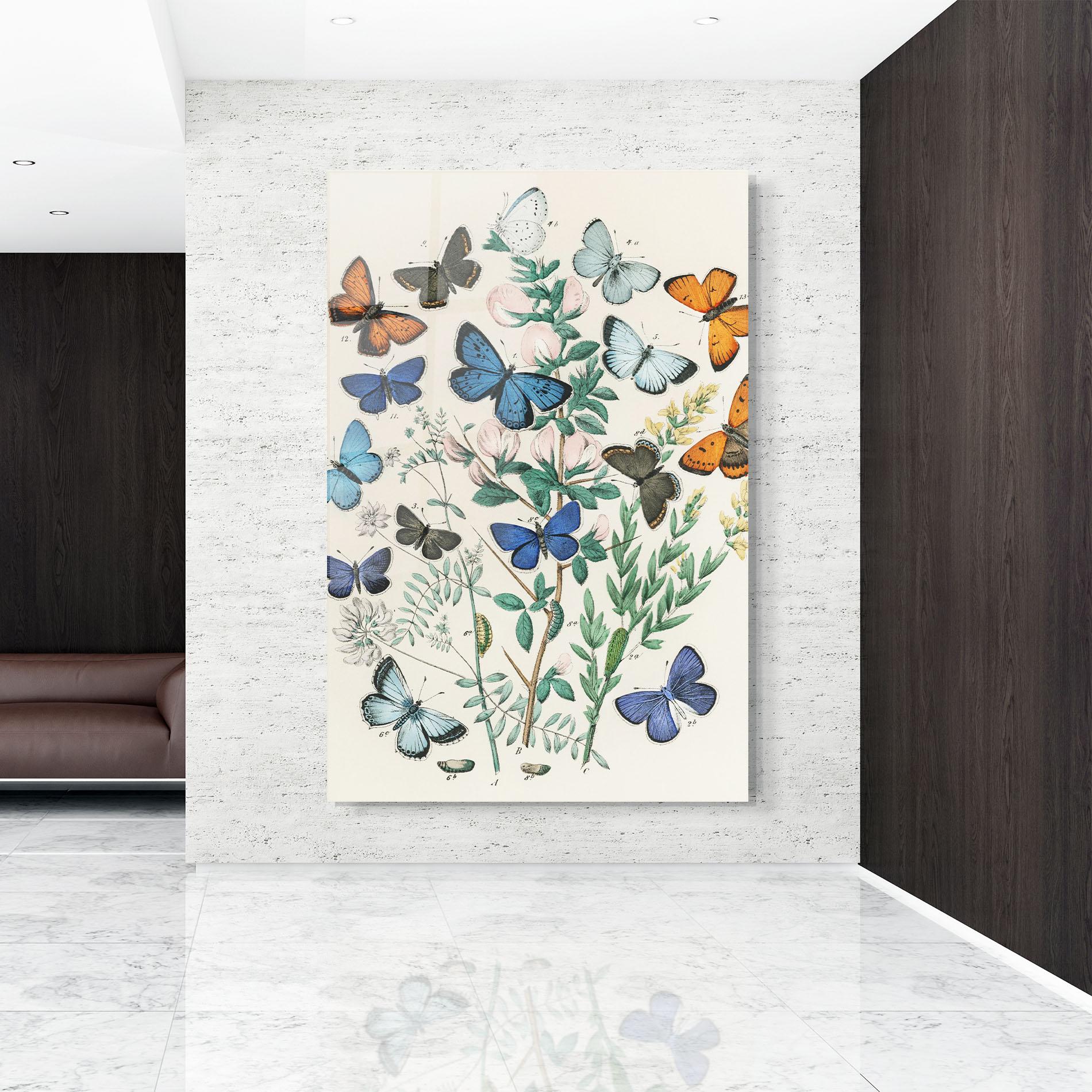 Obraz na Szkle Blue Orange Butterflies mockup 9