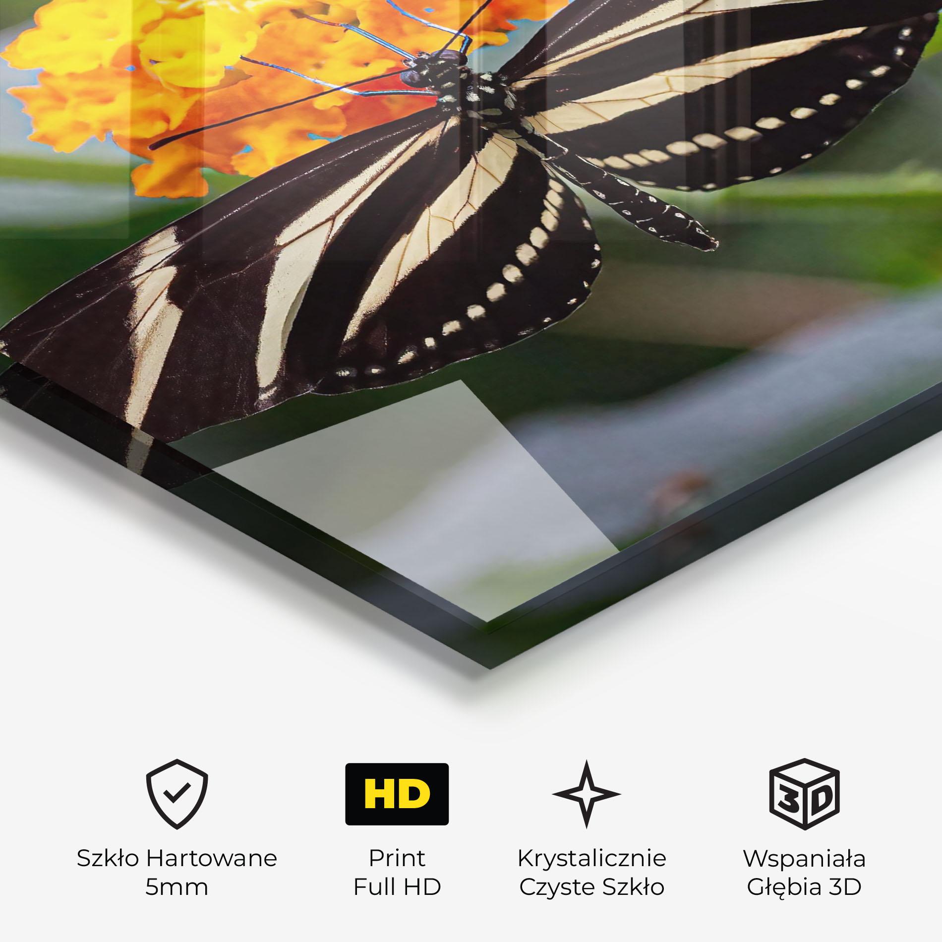 Obraz na Szkle Big Wings Butterfly mockup 3