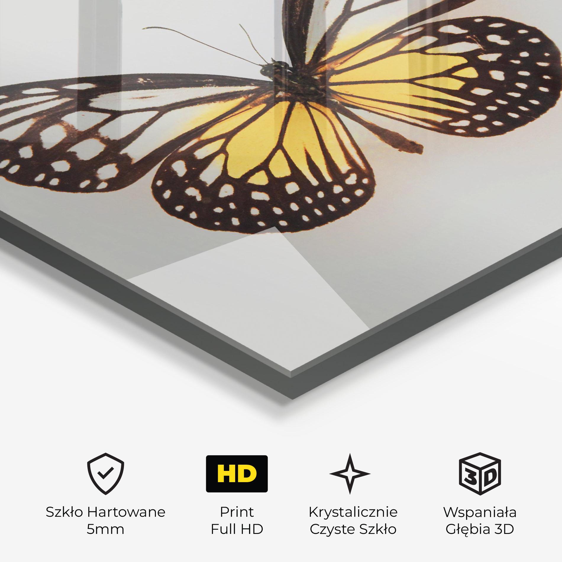 Obraz na Szkle Butterfly On Grey mockup 3