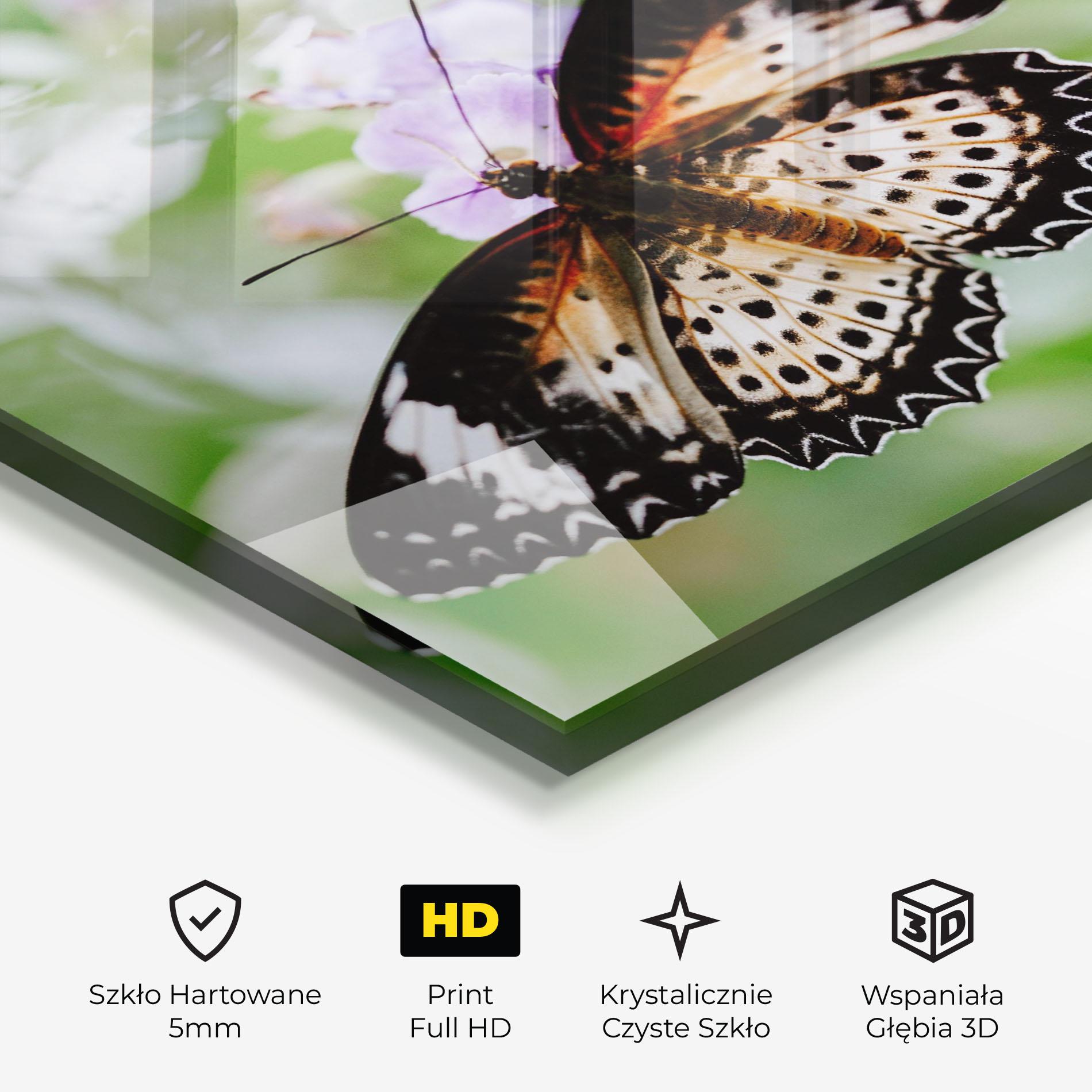 Obraz na Szkle Cream Orange Butterfly mockup 3