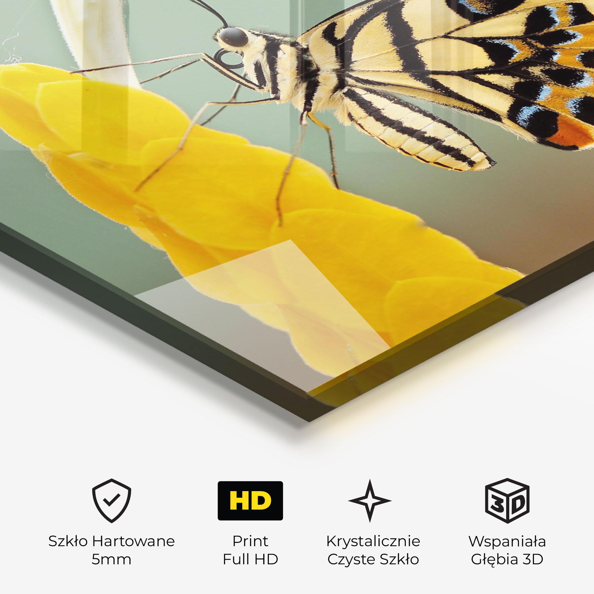 Obraz na Szkle Cream Yellow Butterfly mockup 3
