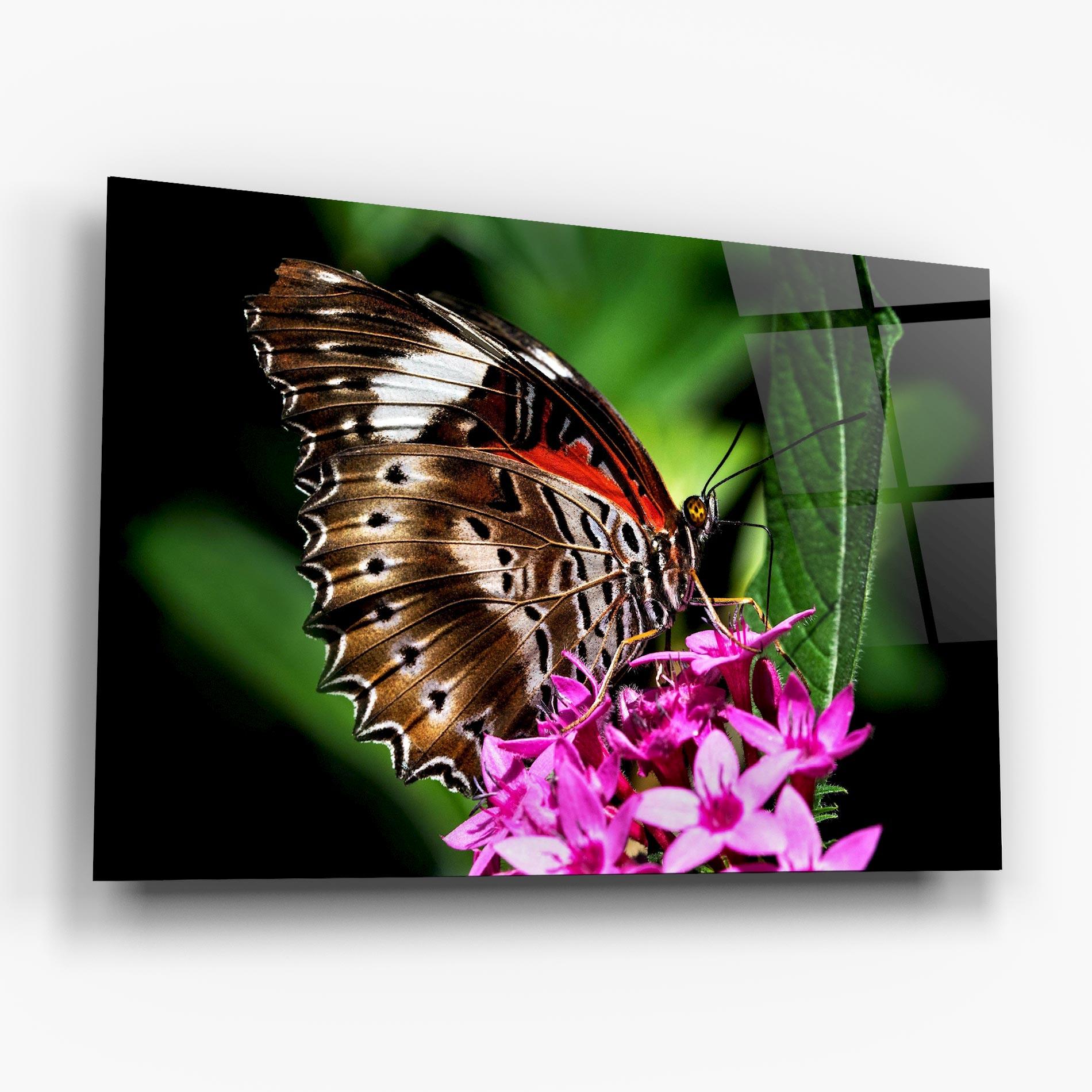 Obraz na Szkle Brown Red Butterfly mockup 6