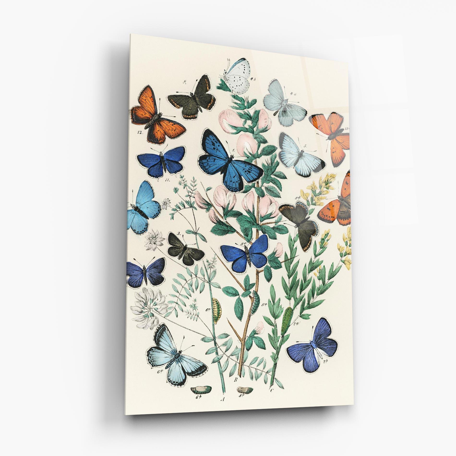 Obraz na Szkle Blue Orange Butterflies mockup 6