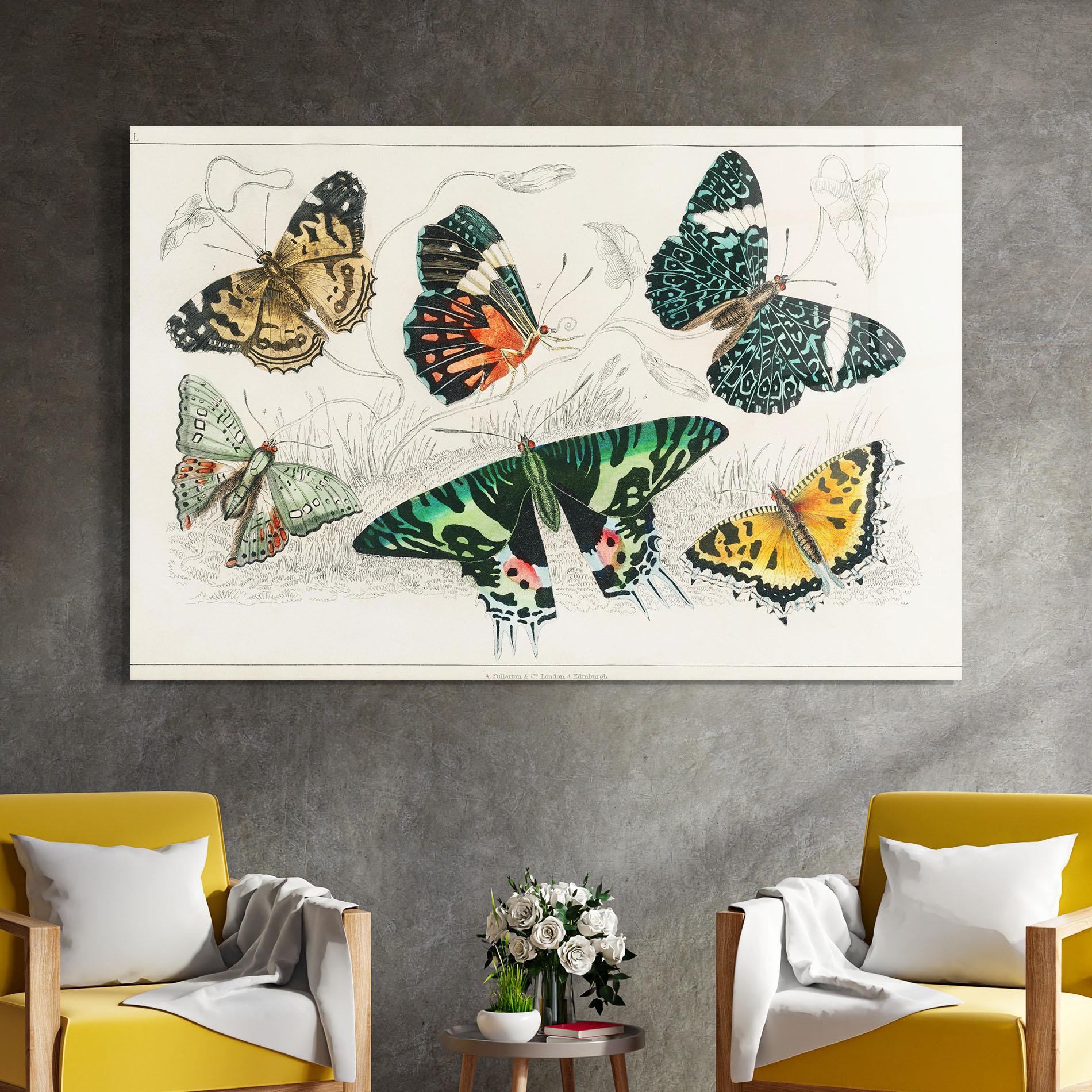 Obraz na Szkle Butterfly Art mockup 4
