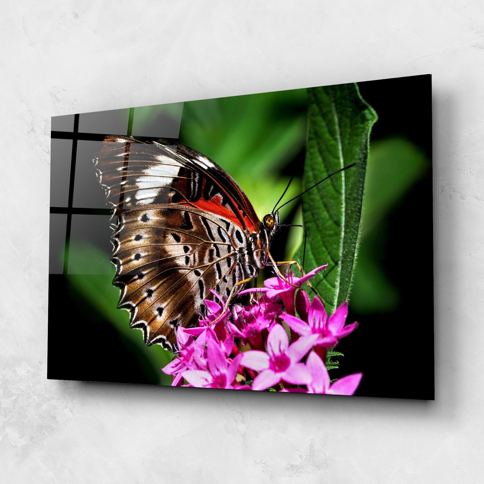 Obraz na Szkle Brown Red Butterfly mockup 1