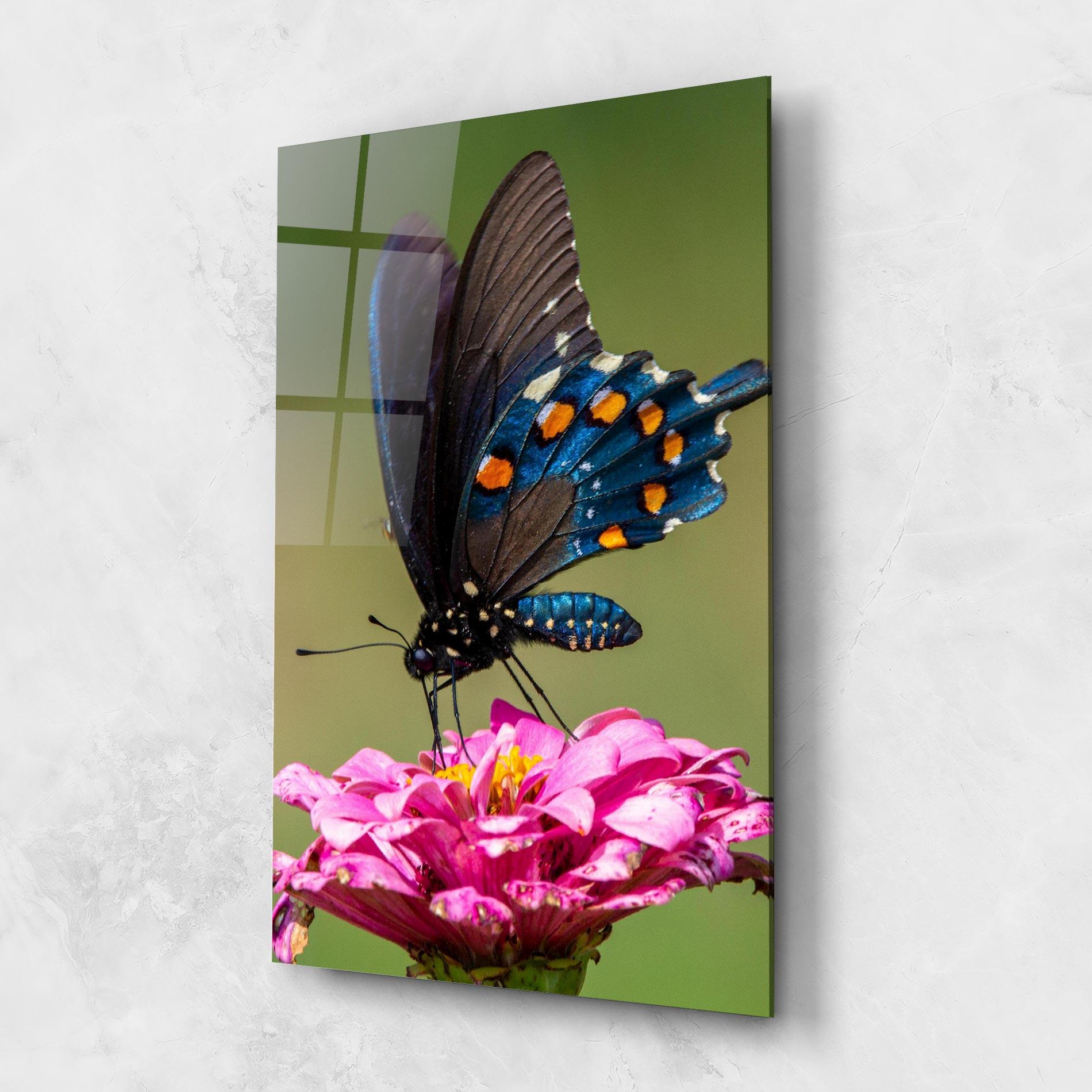 Obraz na Szkle Blue Grey Butterfly mockup 1