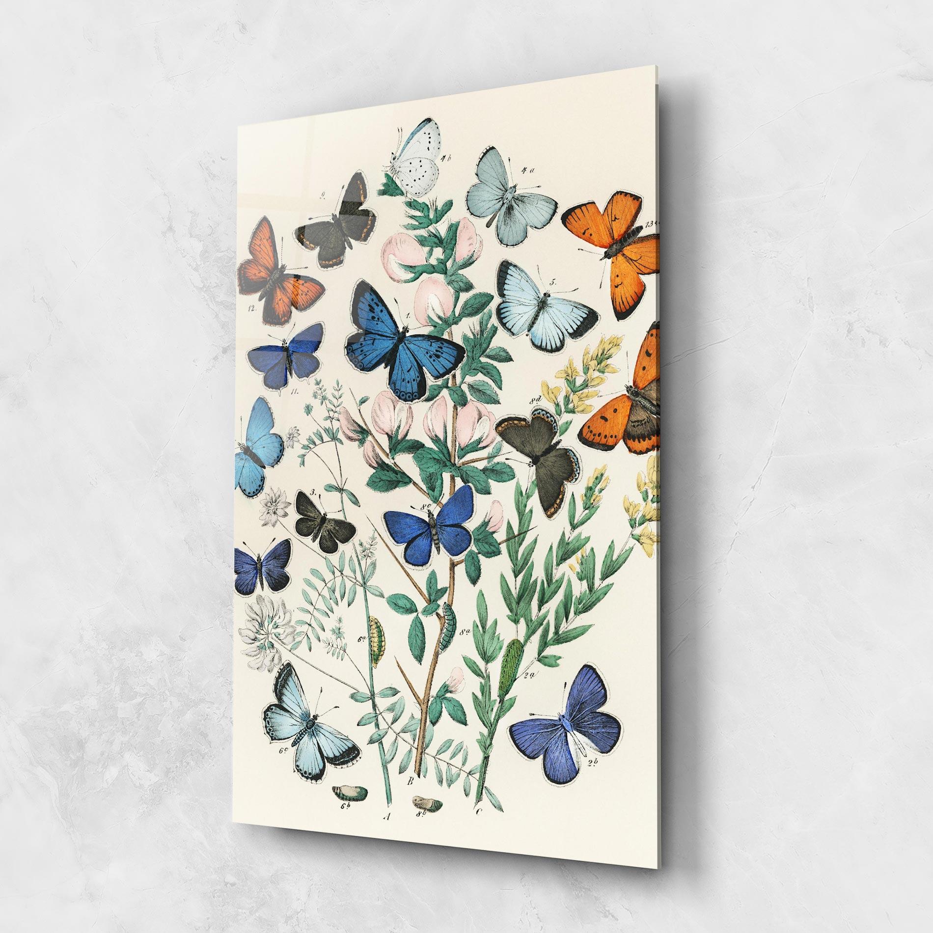 Obraz na Szkle Blue Orange Butterflies mockup 1