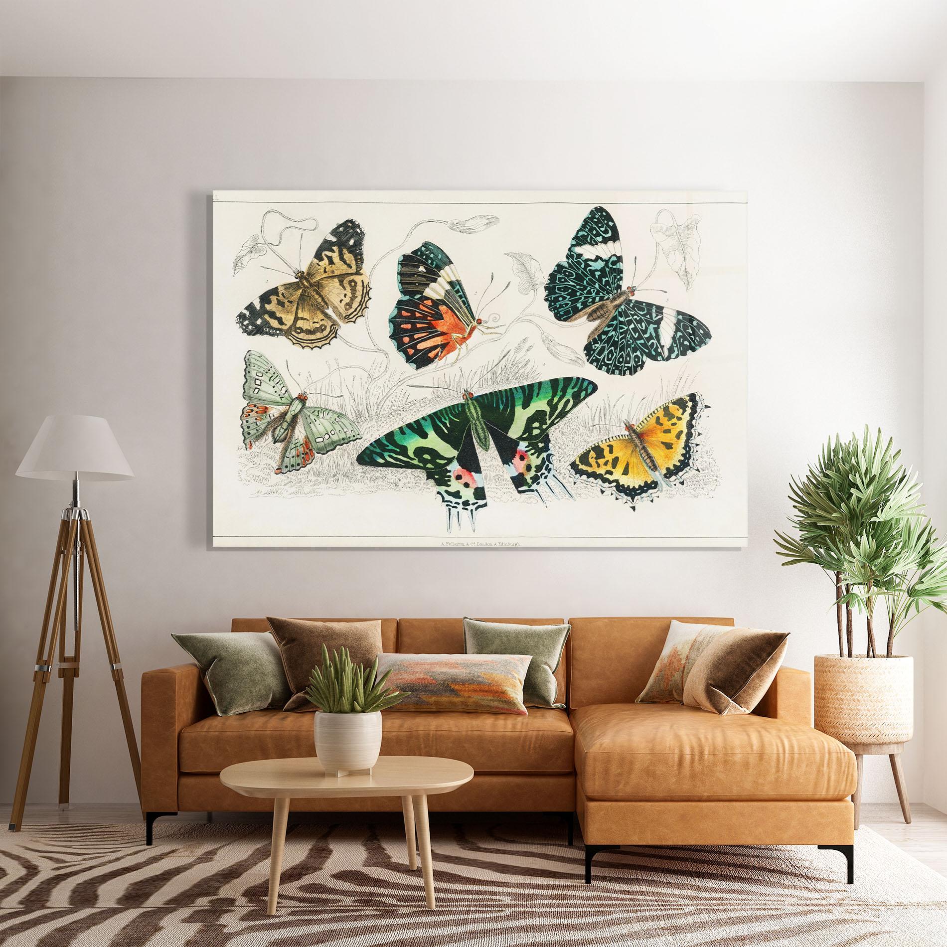 Obraz na Szkle Butterfly Art mockup 7