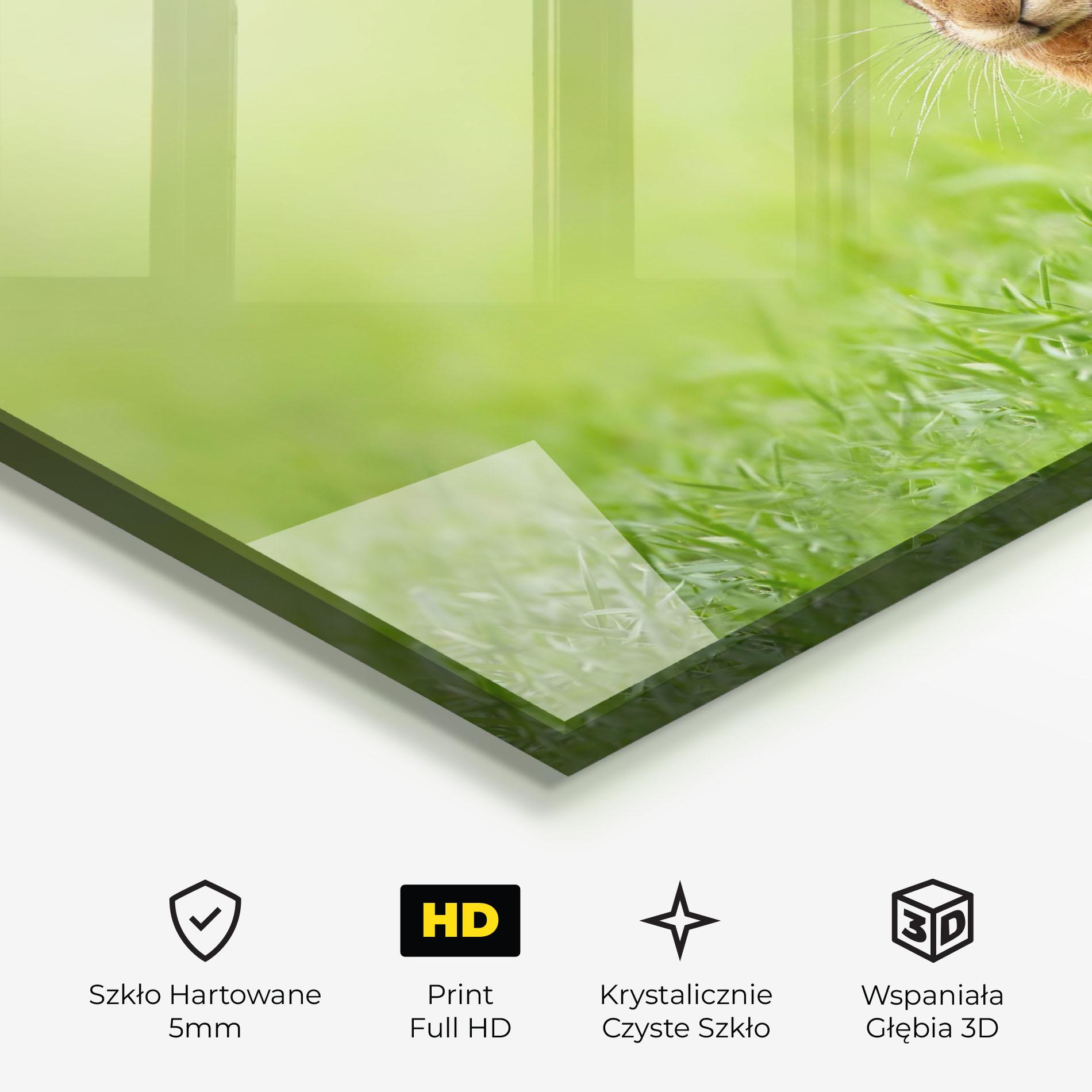 Obraz na Szkle Brown Hares mockup 3