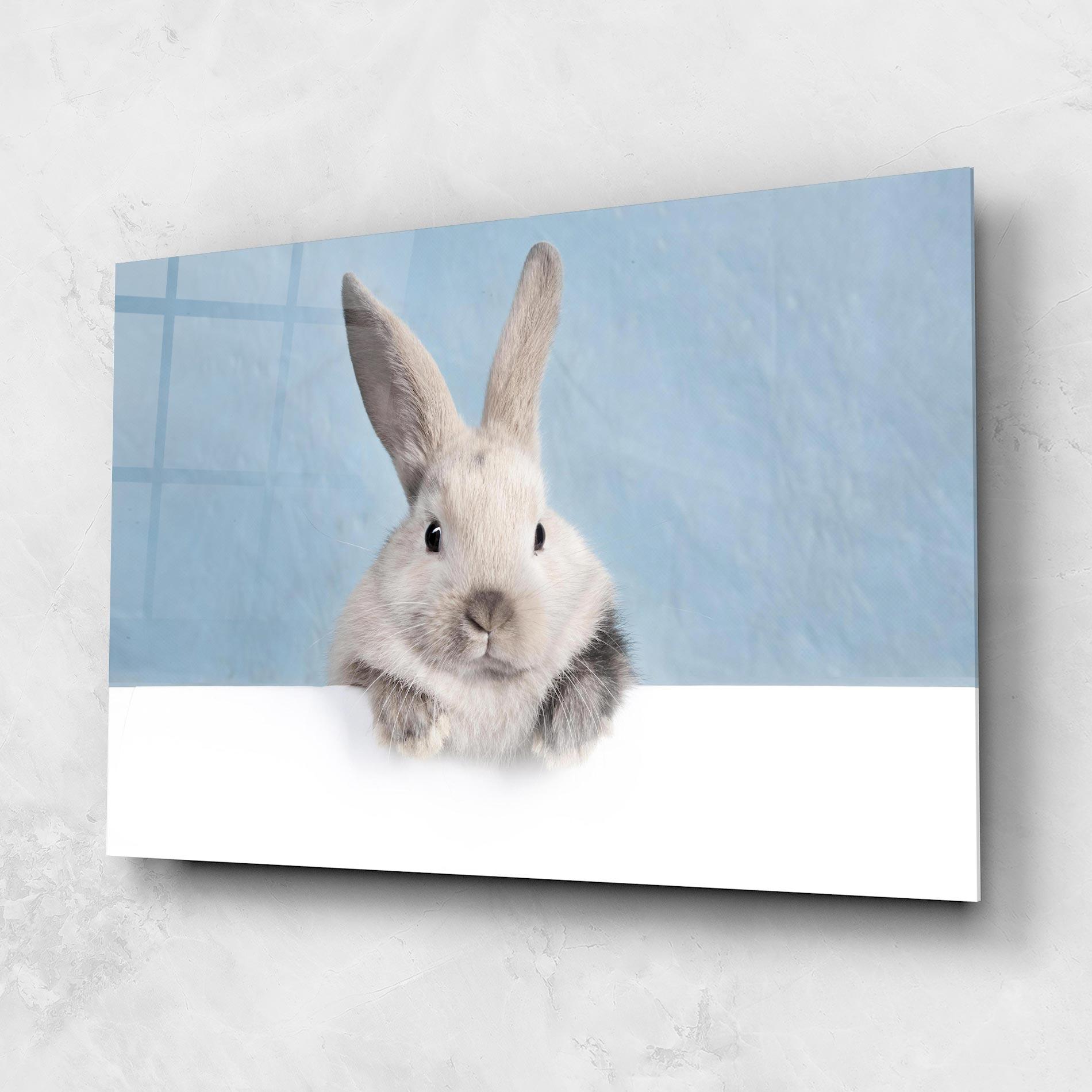 Obraz na Szkle Cream Bunny mockup 1