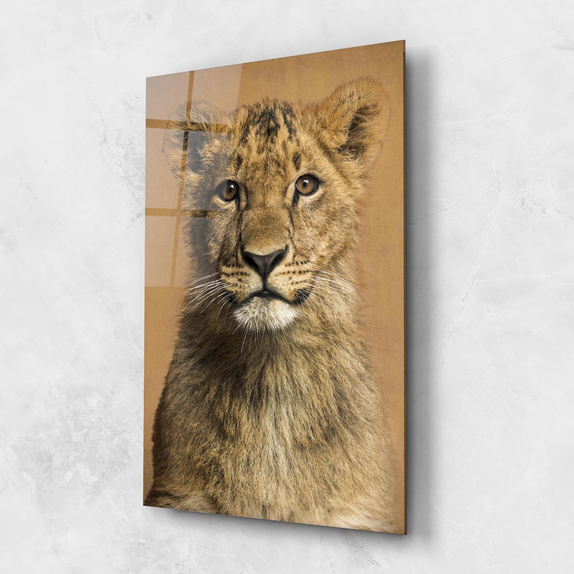 Obraz na Szkle Baby Lion mockup 1