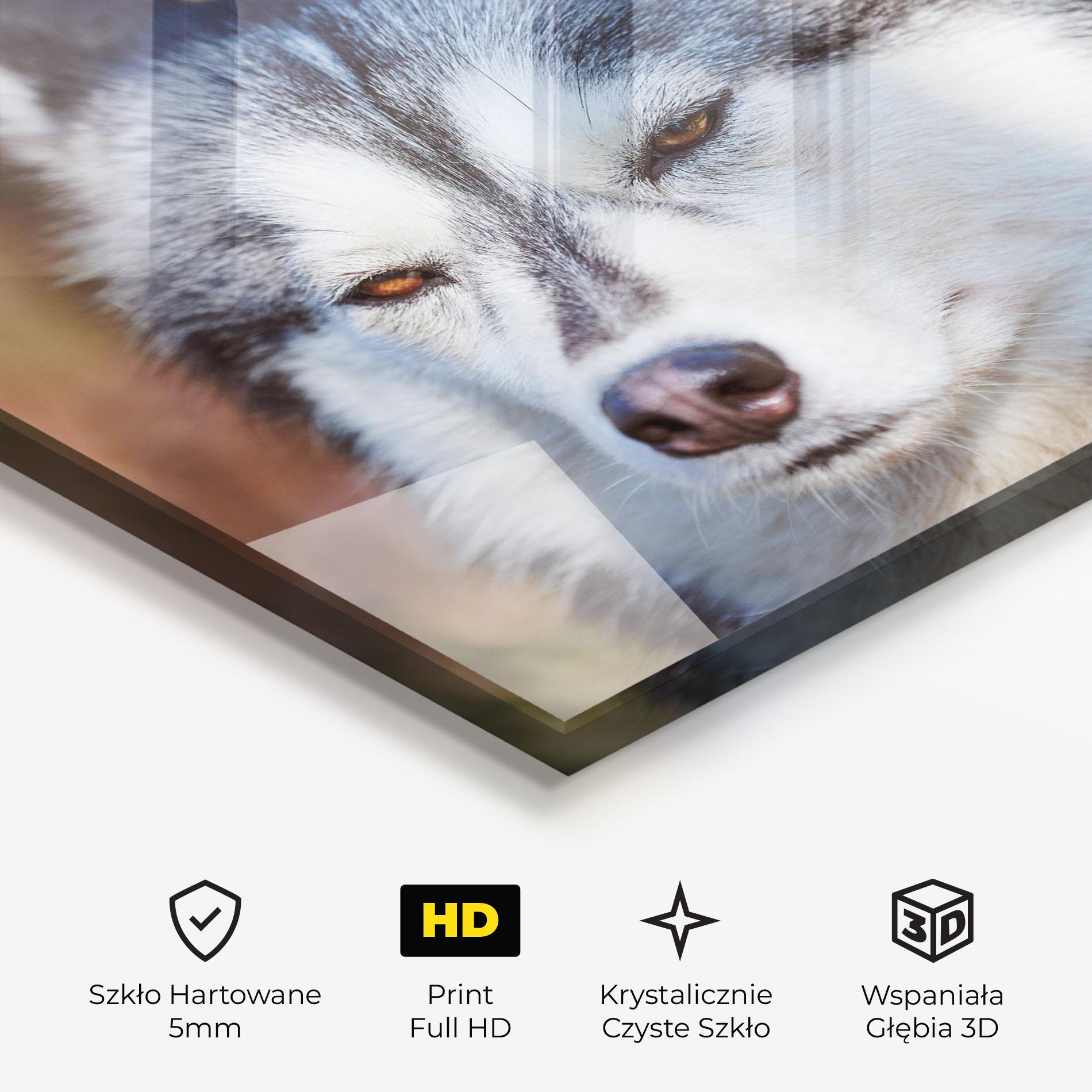 Obraz na Szkle Annoyed Wolf mockup 3
