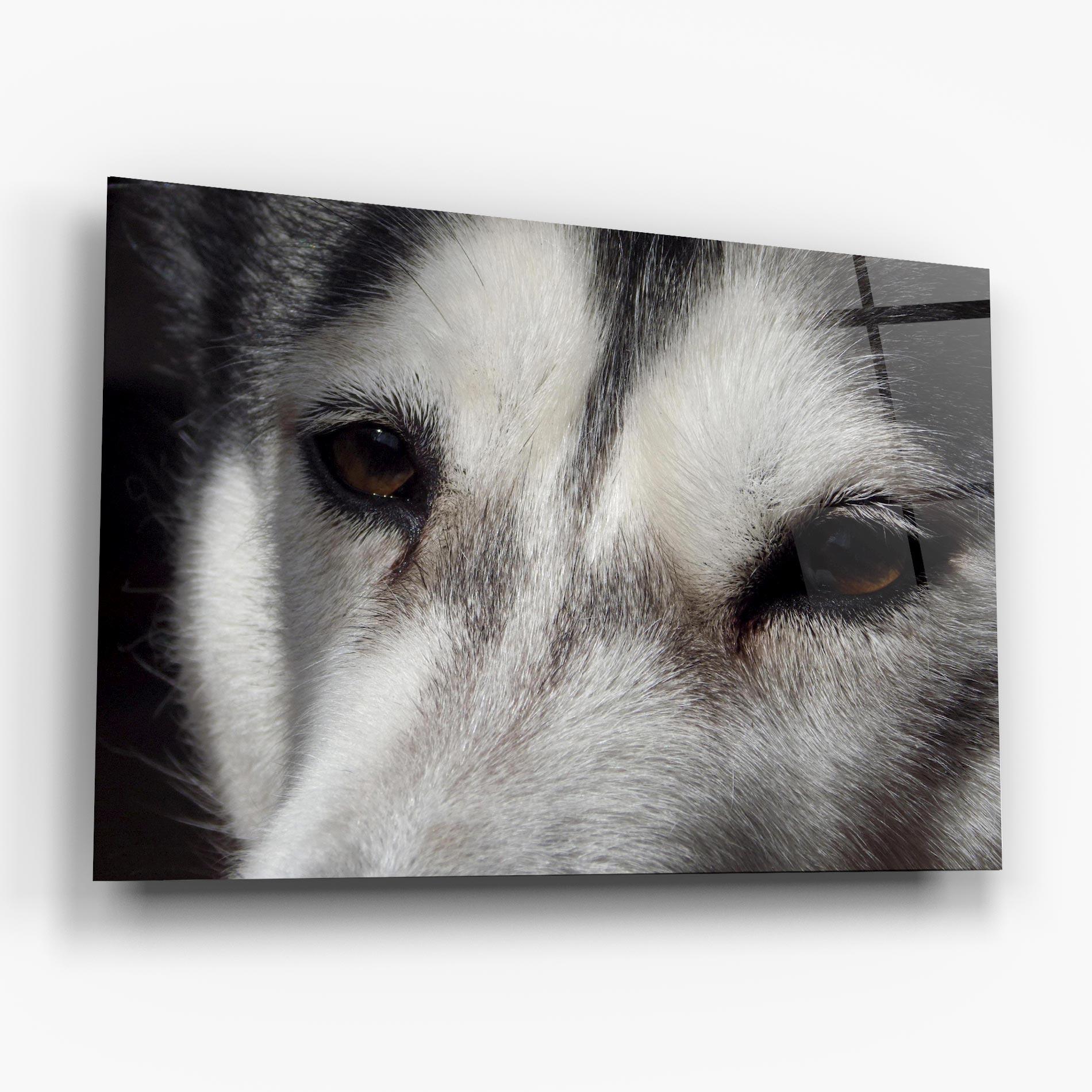 Obraz na Szkle Close Up Wolf mockup 6