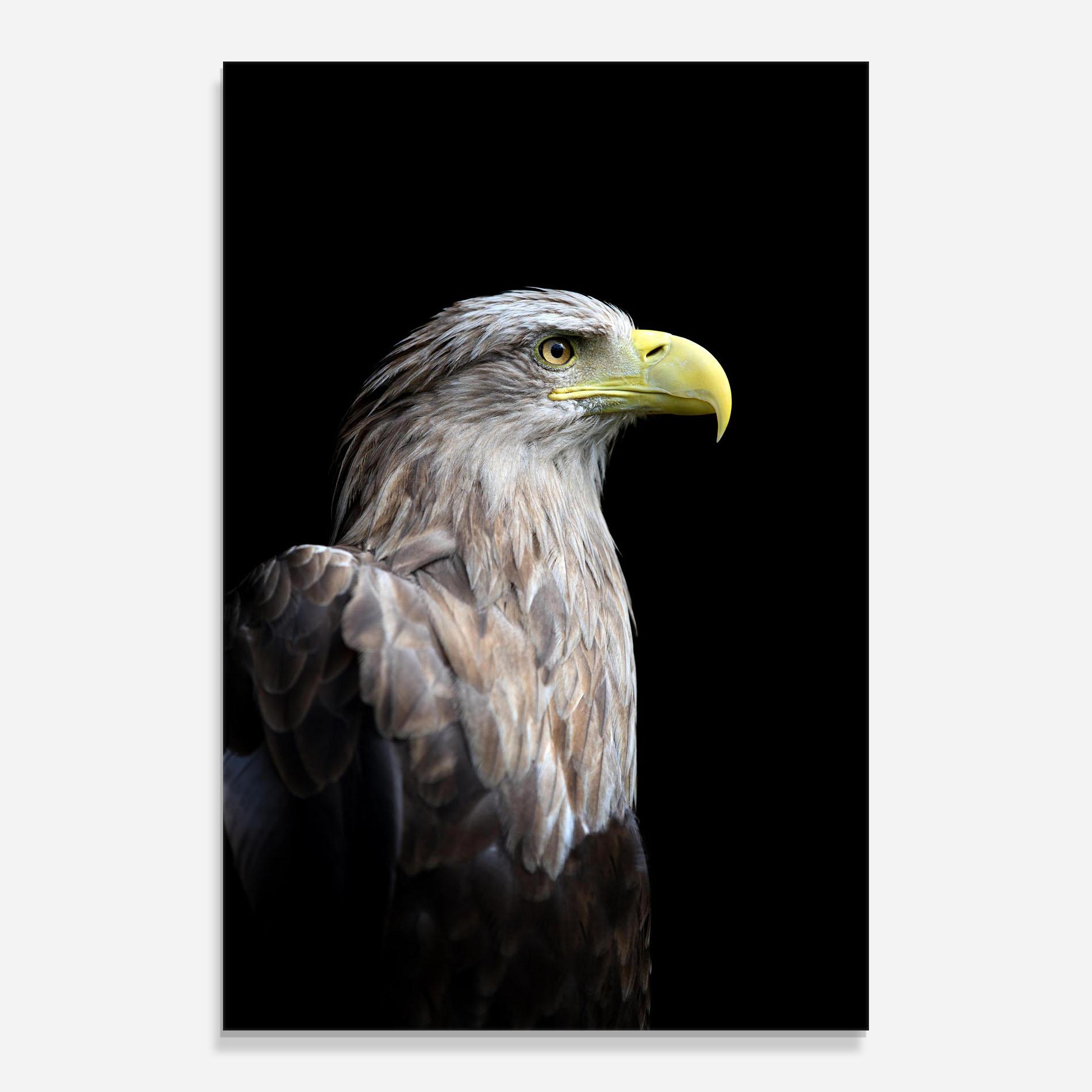 Obraz na Szkle Close Up Eagle mockup 0