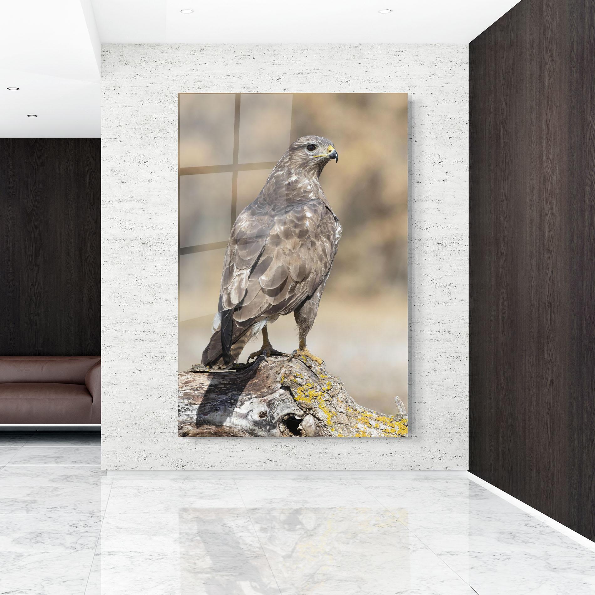 Obraz na Szkle Eagle Nature mockup 9
