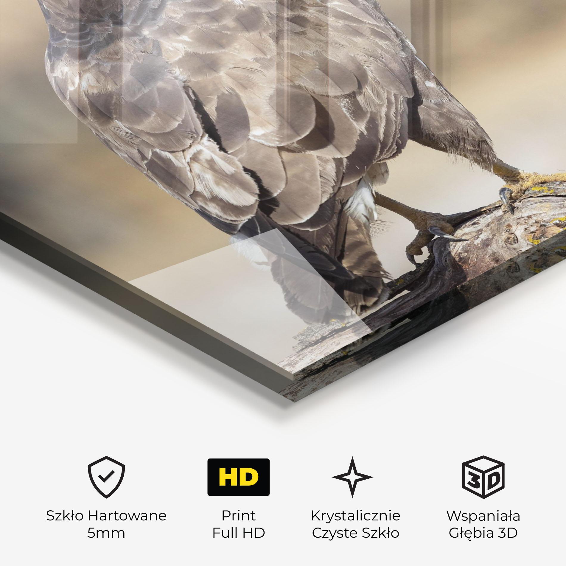 Obraz na Szkle Eagle Nature mockup 3