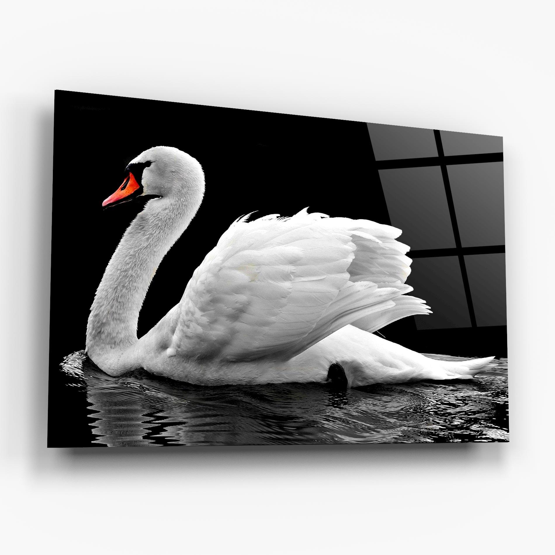 Obraz na Szkle Black And White Swan mockup 6