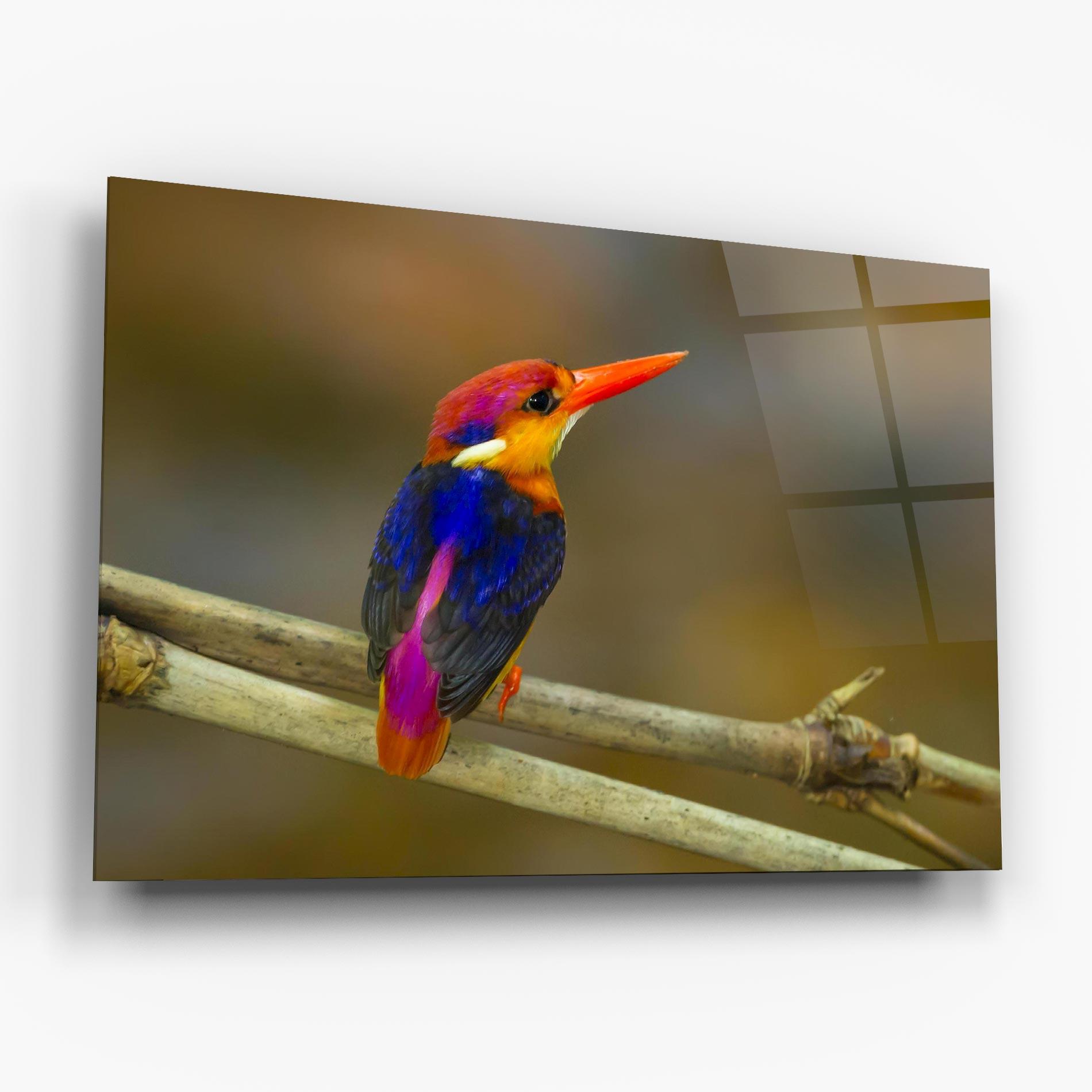 Obraz na Szkle Colorful Bird mockup 6