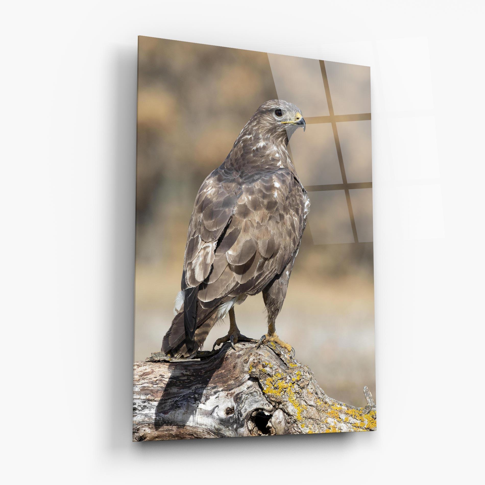 Obraz na Szkle Eagle Nature mockup 6