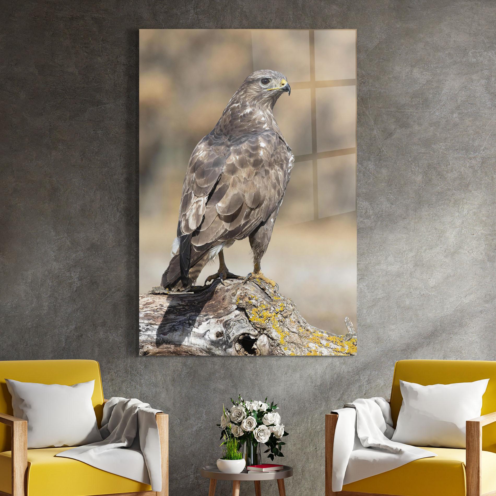 Obraz na Szkle Eagle Nature mockup 4