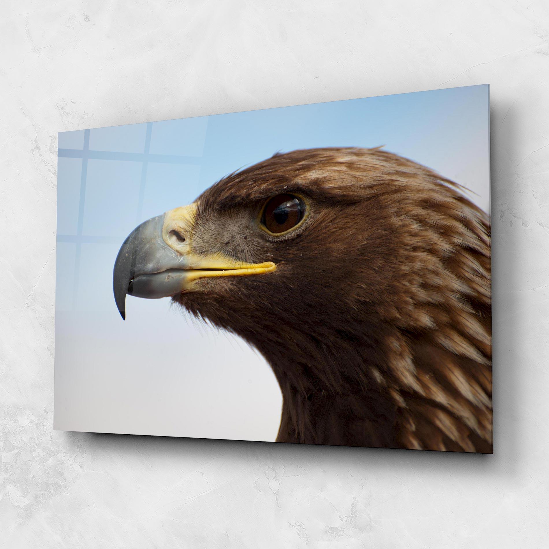 Obraz na Szkle Brown Head Eagle mockup 1