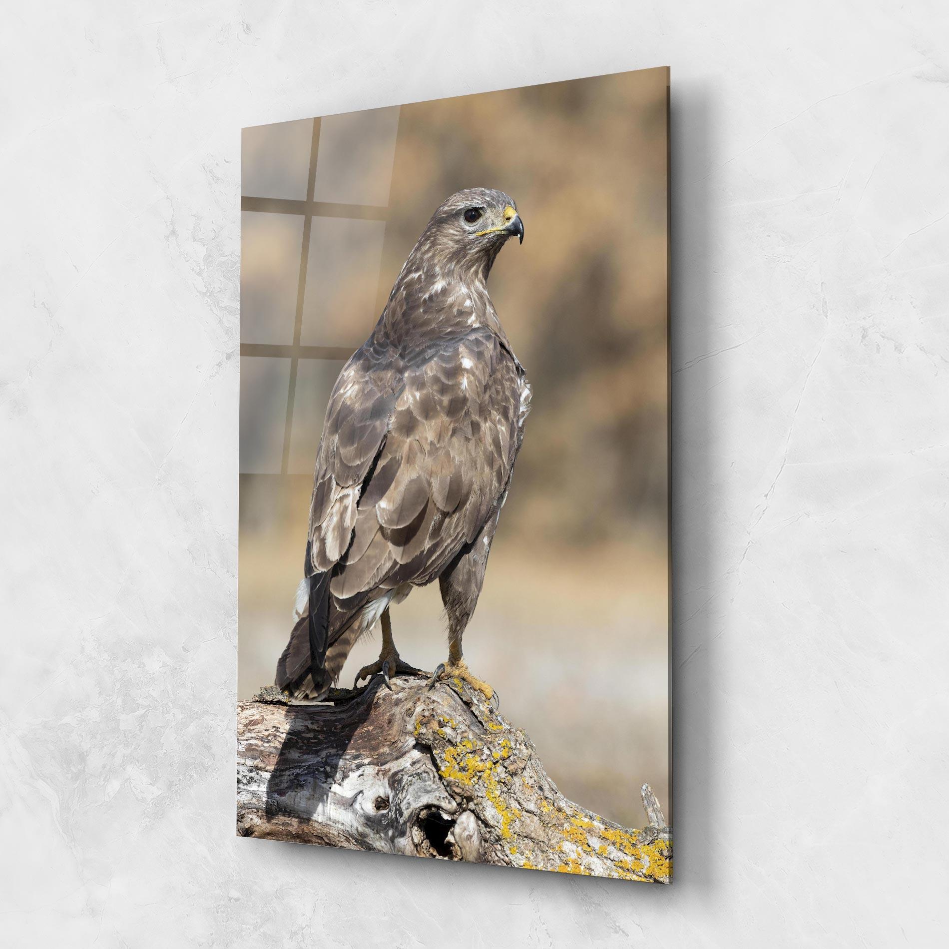 Obraz na Szkle Eagle Nature mockup 1