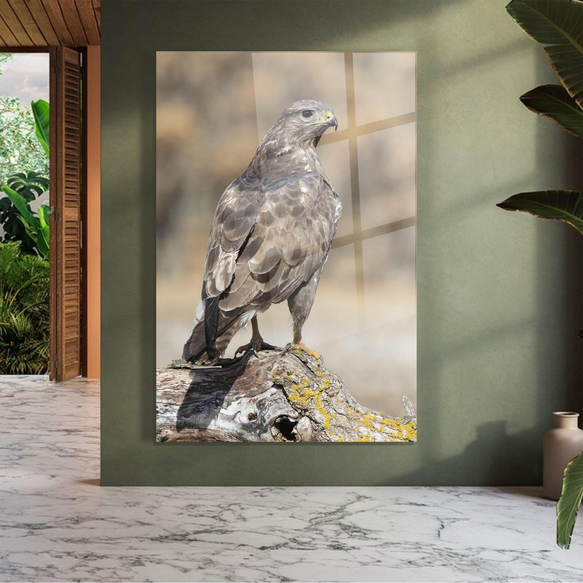 Obraz na Szkle Eagle Nature mockup 7