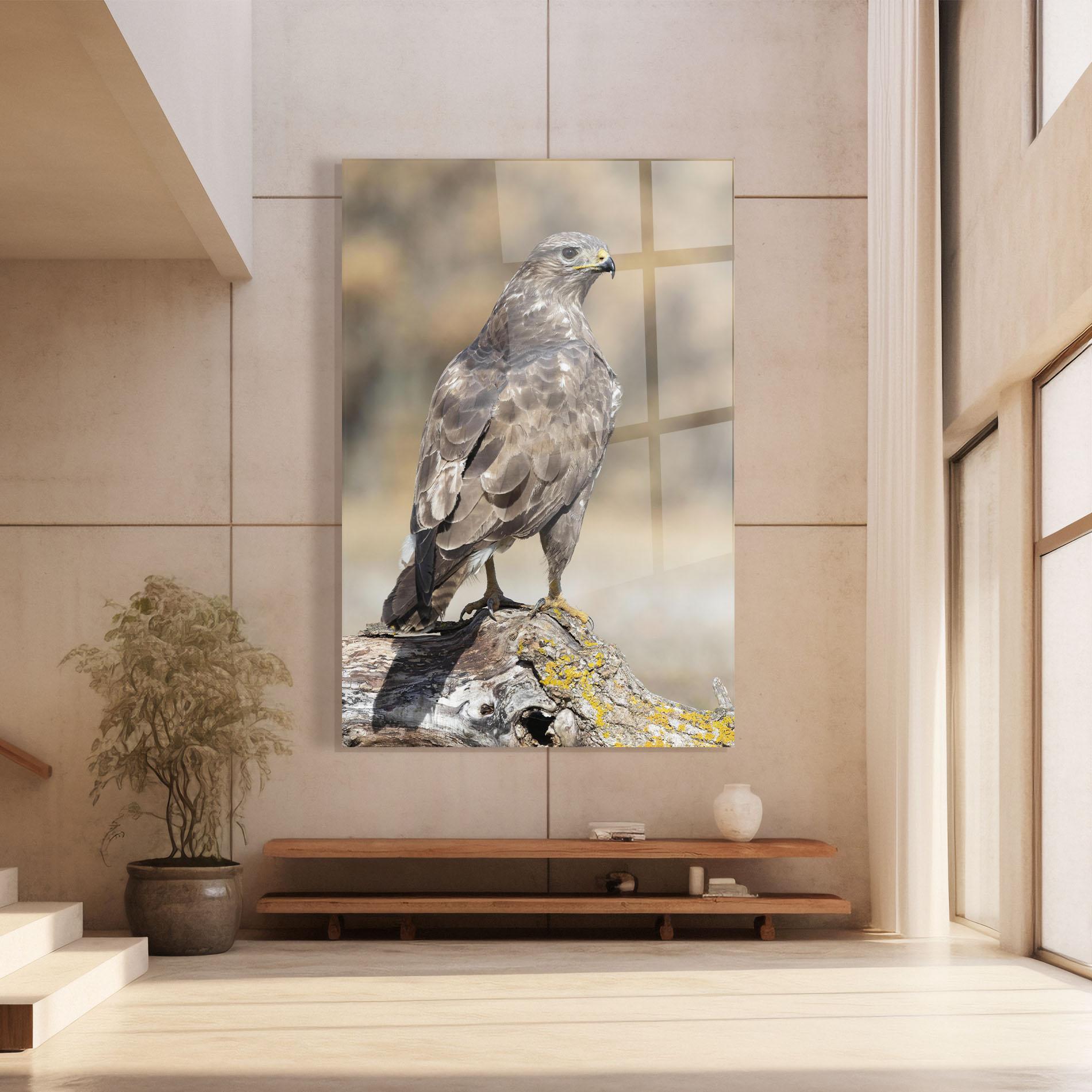 Obraz na Szkle Eagle Nature mockup 8