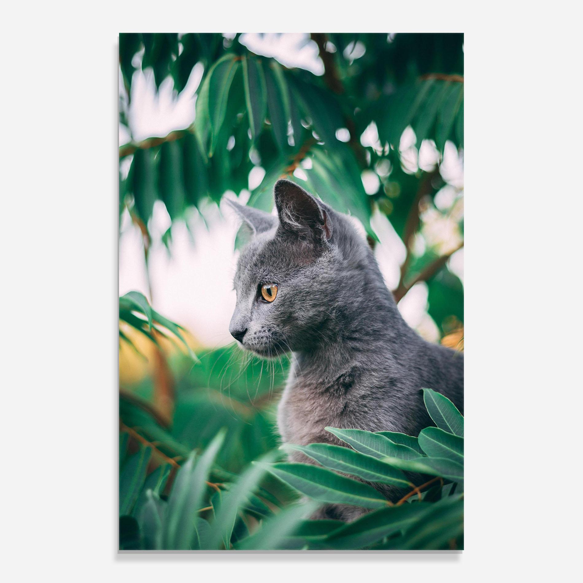 Obraz na Szkle Cat Tree mockup 0