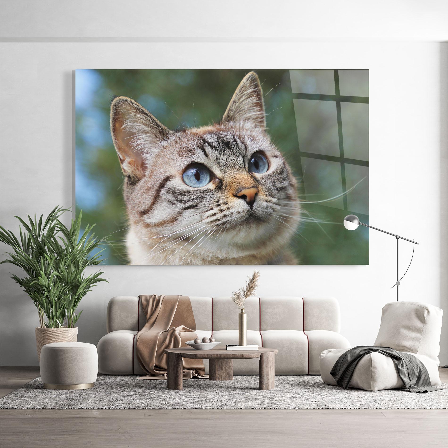 Obraz na Szkle Blue Eyes Cutie mockup 9