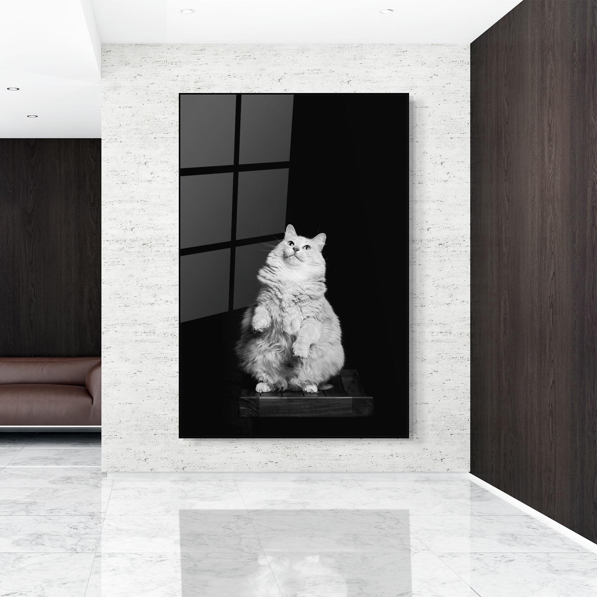 Obraz na Szkle Big Fluffy Cat mockup 9