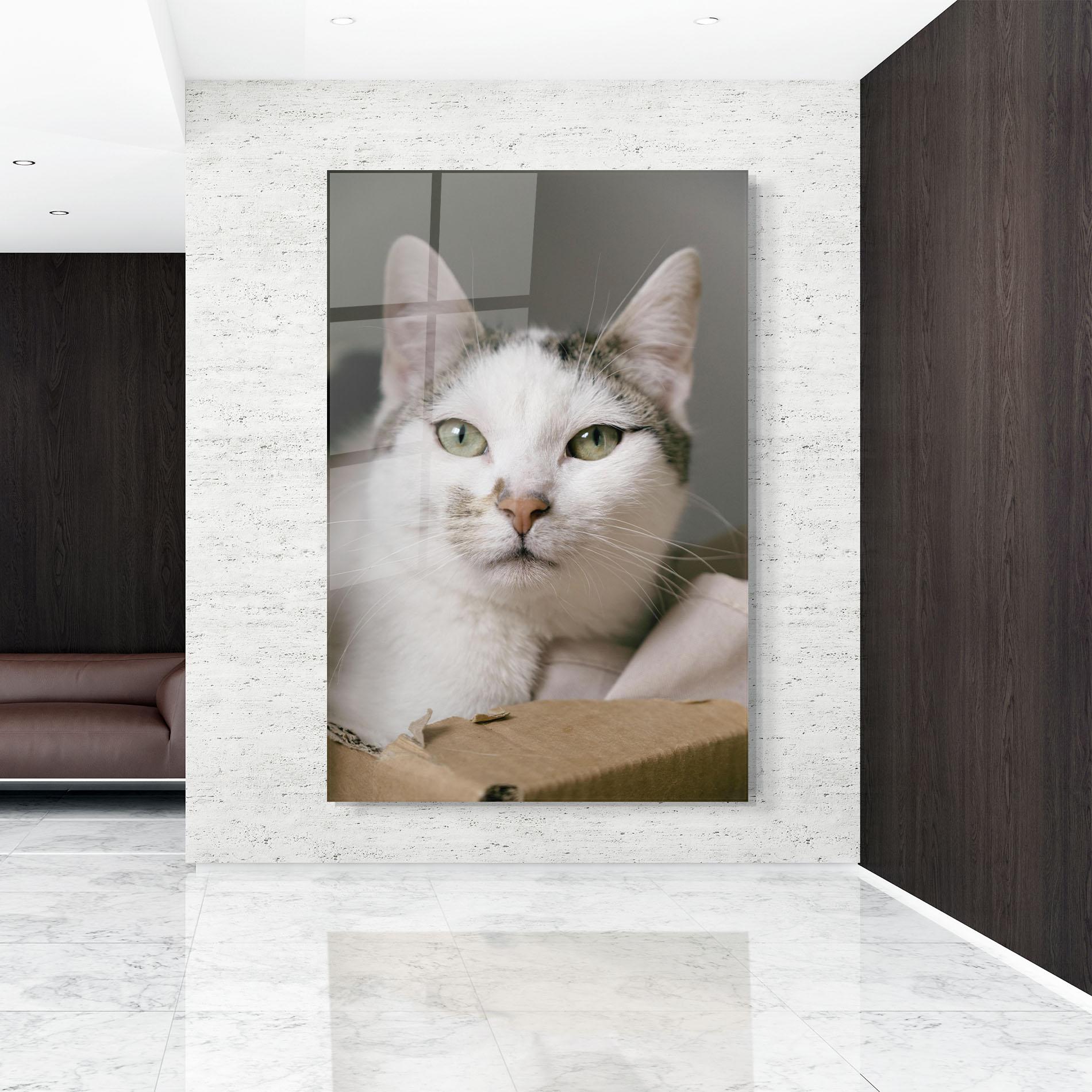 Obraz na Szkle Big Sleepy Cat mockup 9